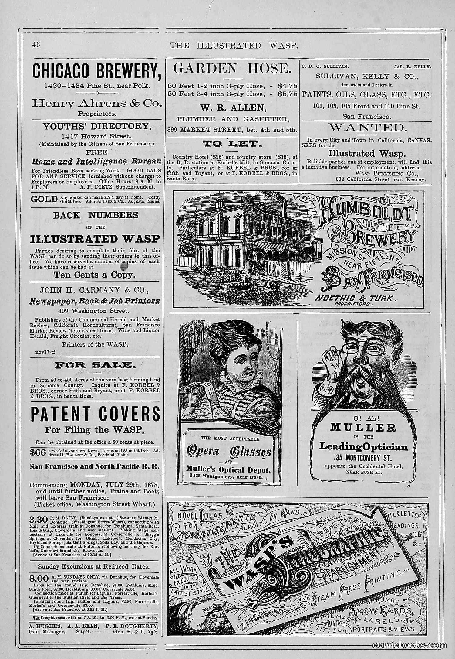 The Wasp — 1878 — page 53 of 364