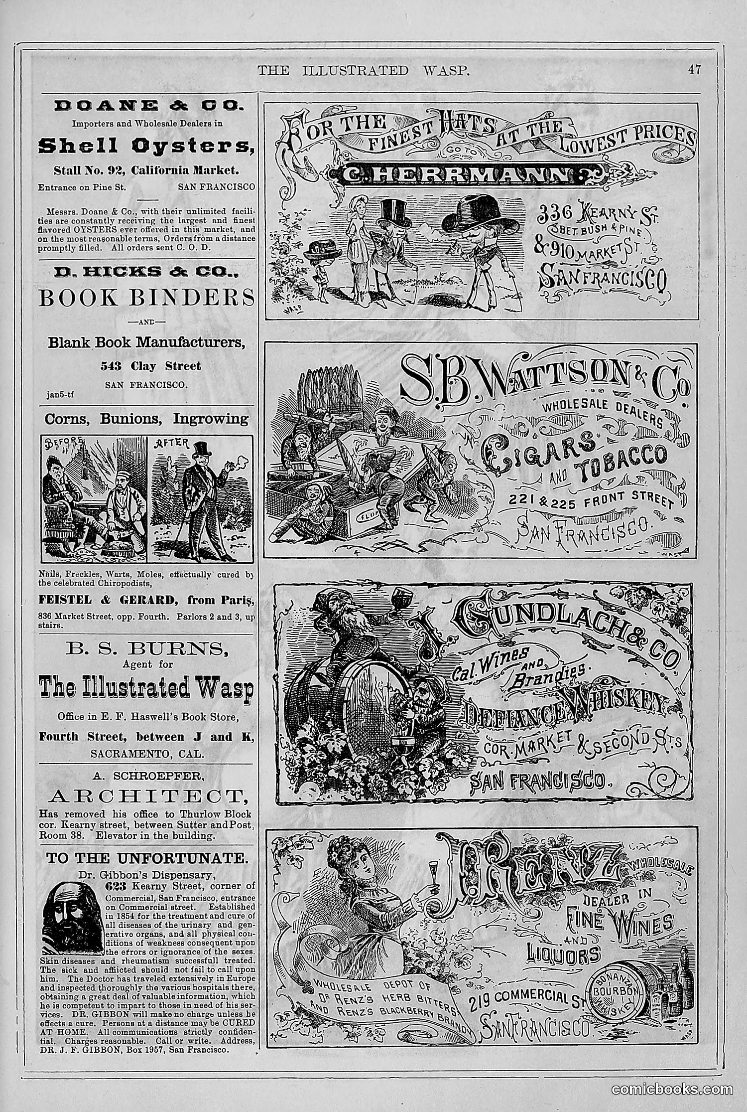The Wasp — 1878 — page 54 of 364