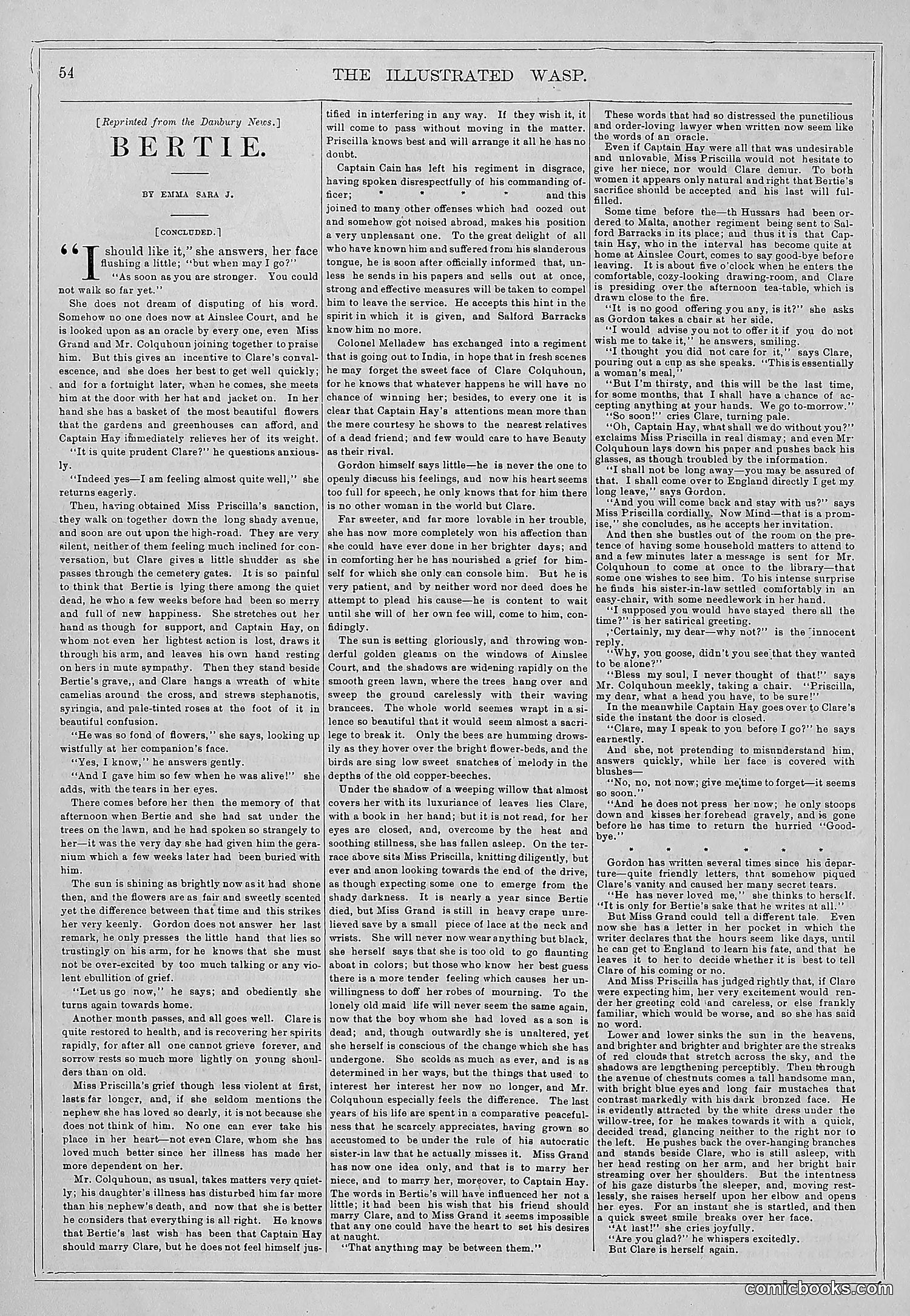 The Wasp — 1878 — page 61 of 364