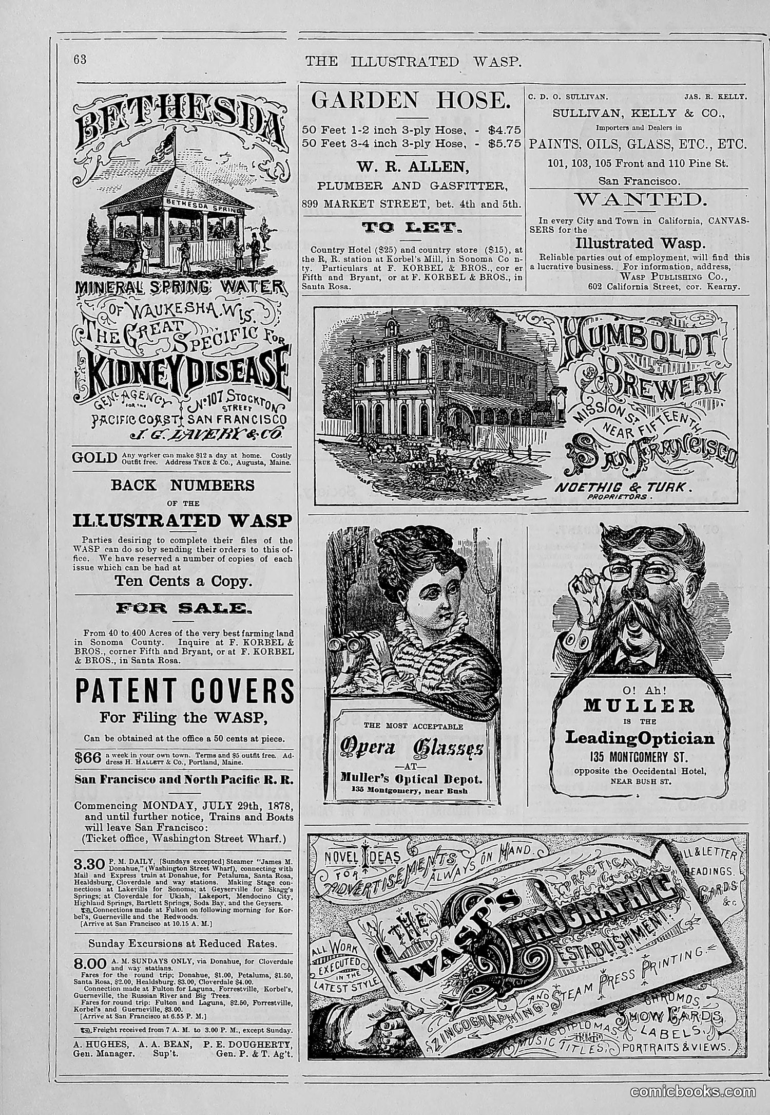 The Wasp — 1878 — page 69 of 364
