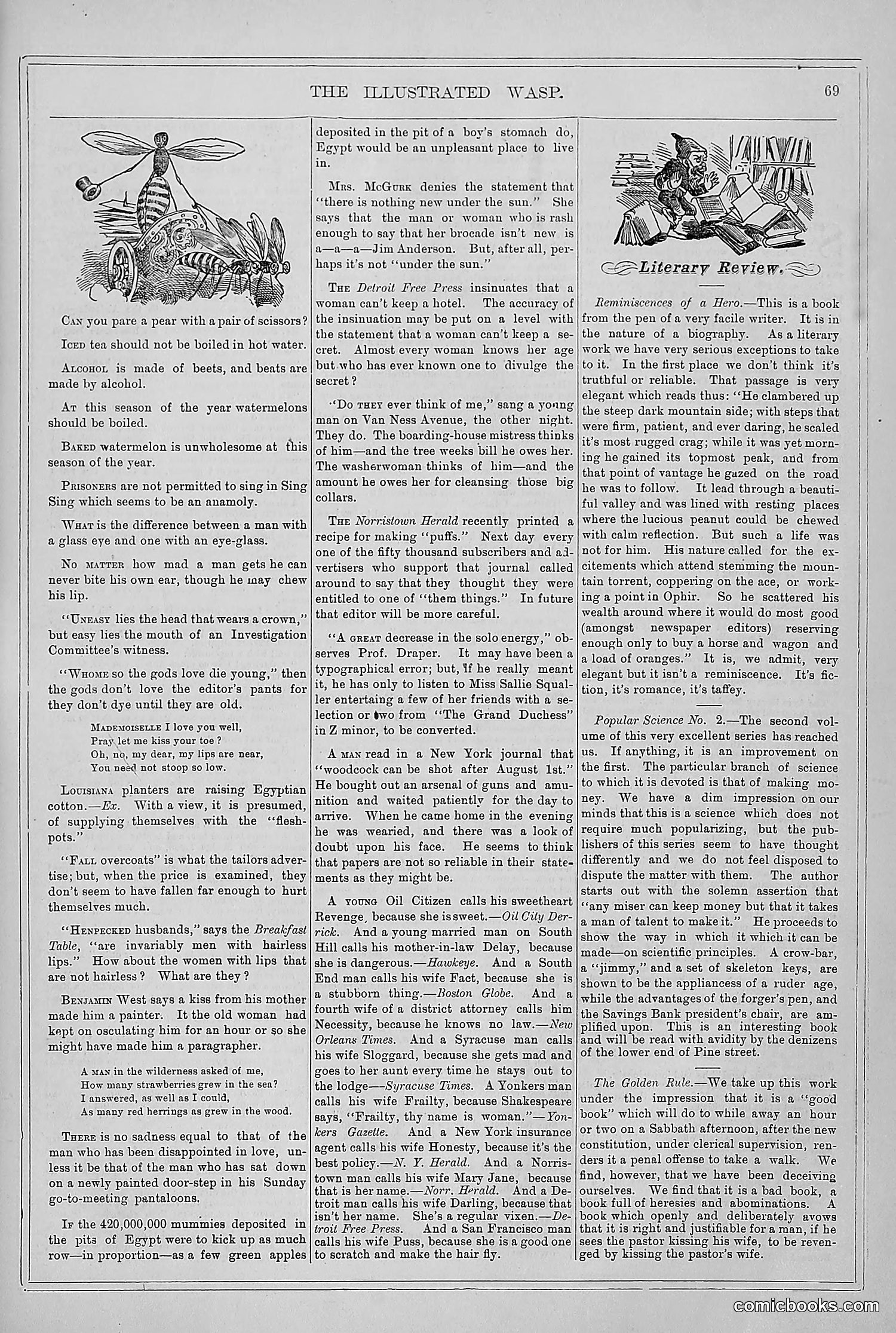 The Wasp — 1878 — page 76 of 364