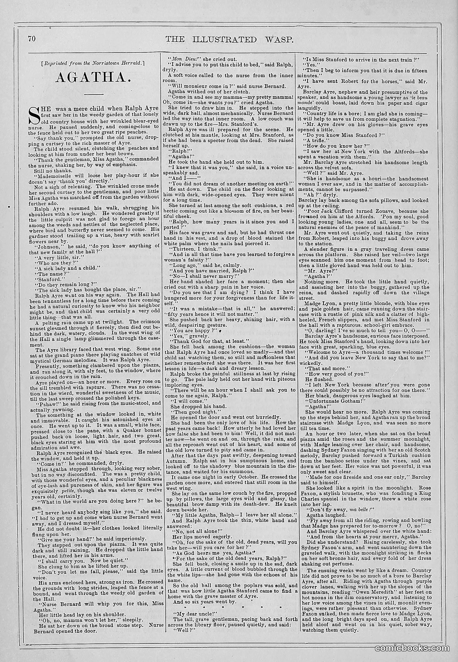The Wasp — 1878 — page 77 of 364