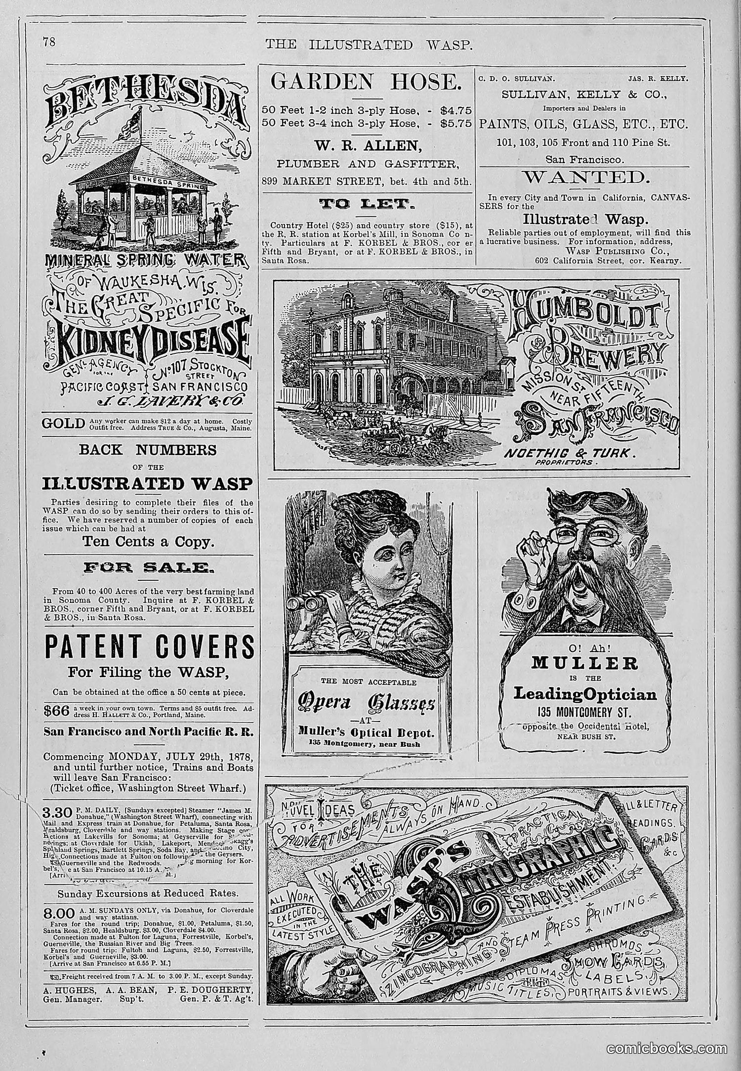 The Wasp — 1878 — page 85 of 364
