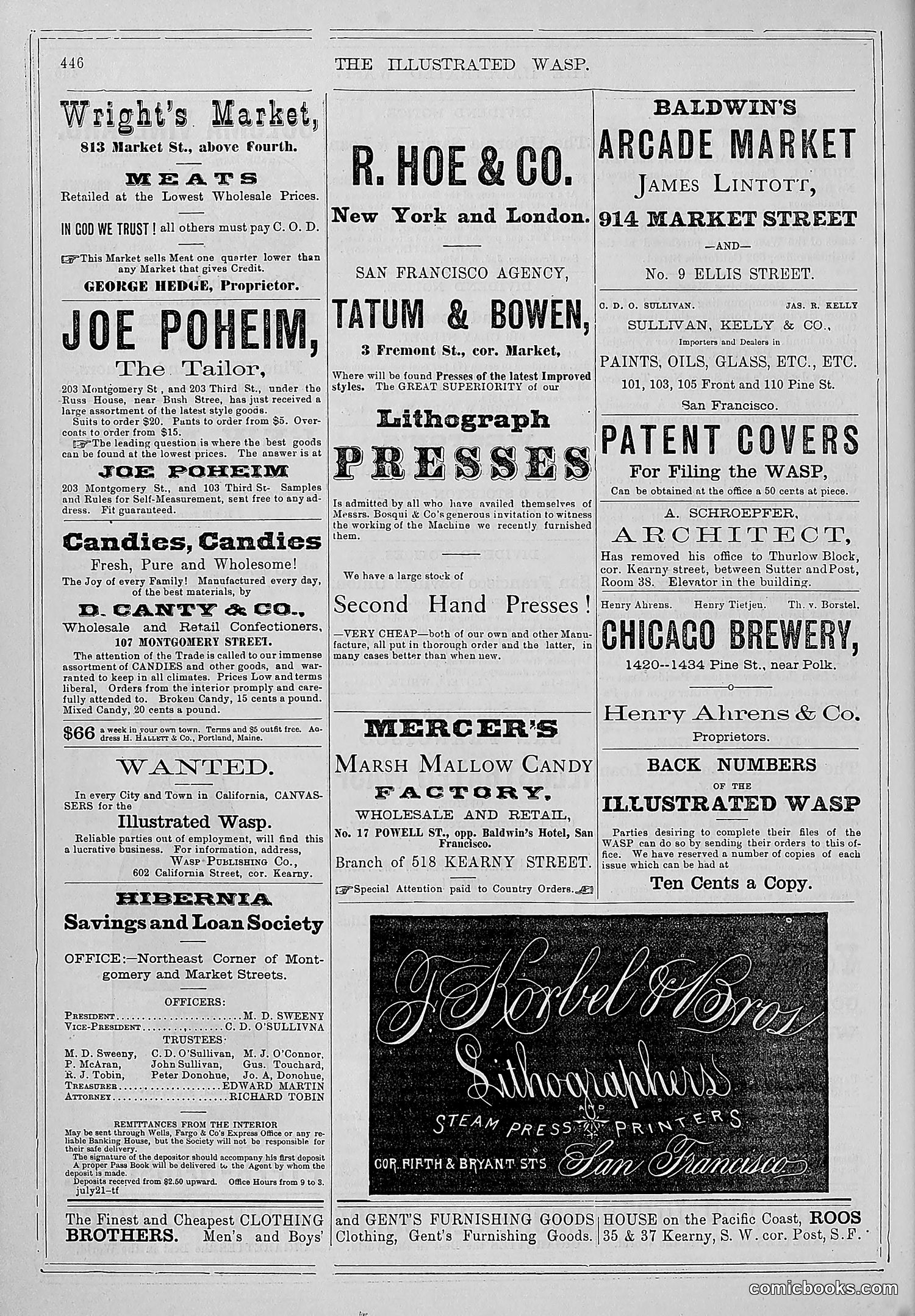 The Wasp — 1879 — page 101 of 486