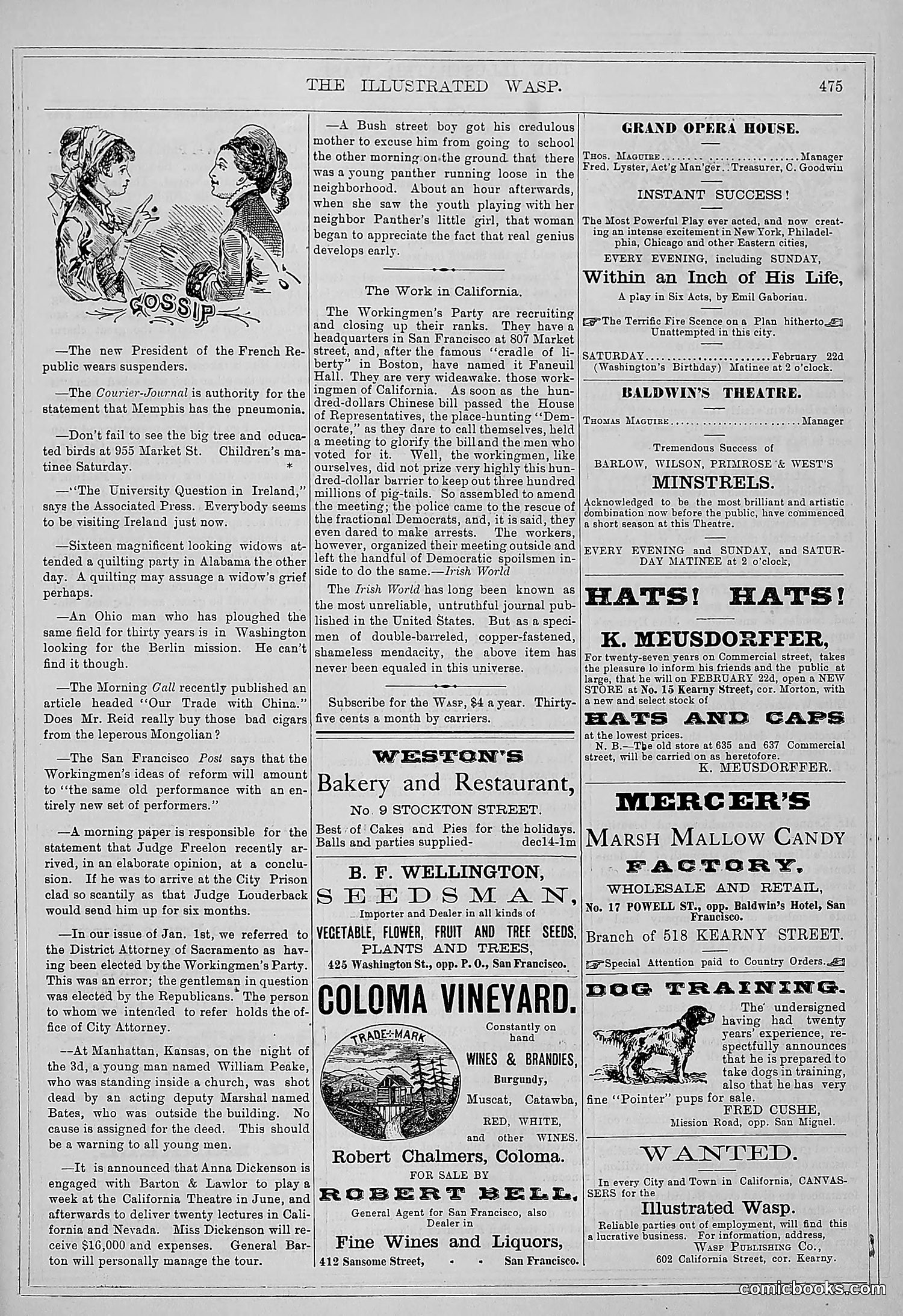 The Wasp — 1879 — page 128 of 486