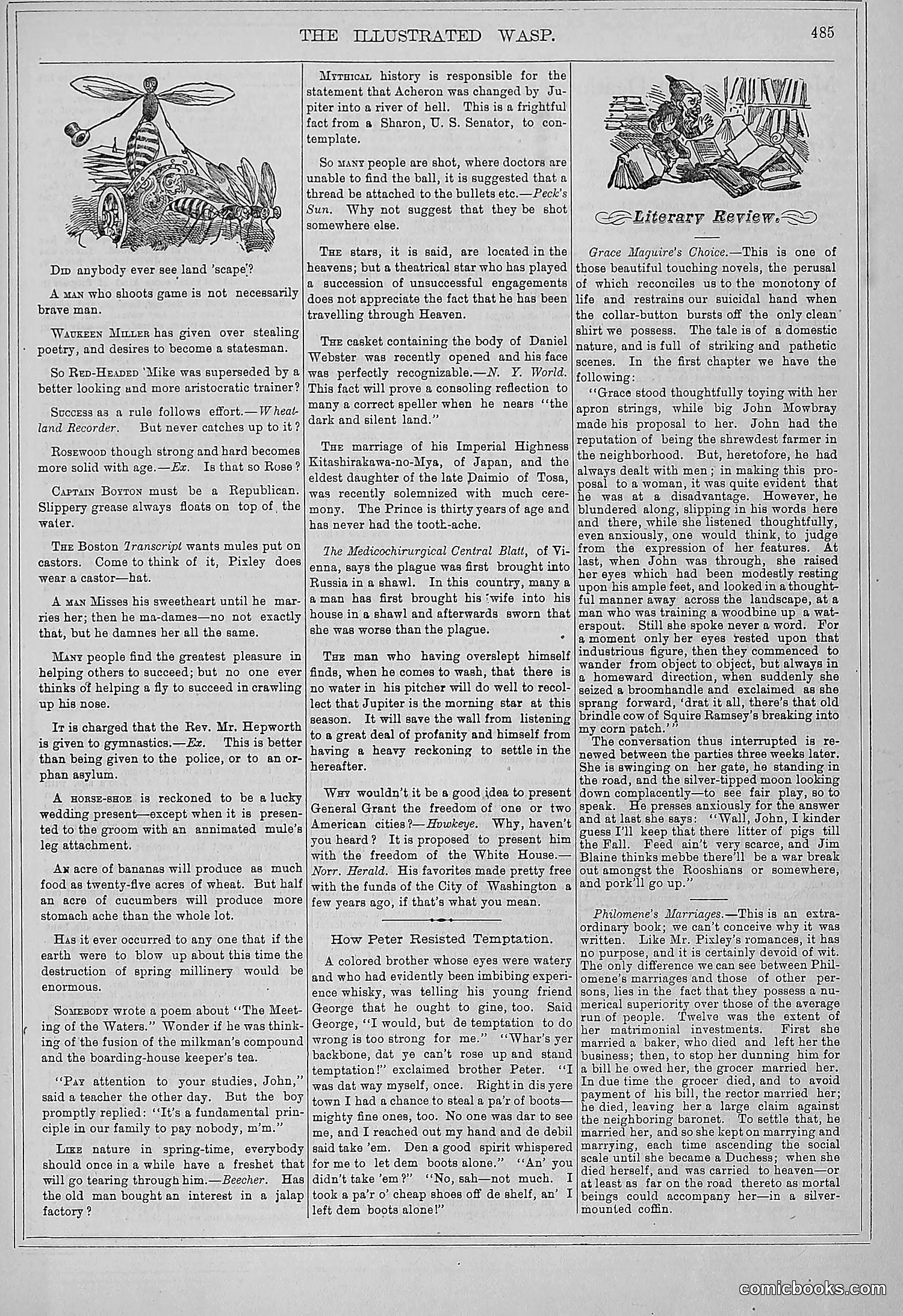 The Wasp — 1879 — page 138 of 486