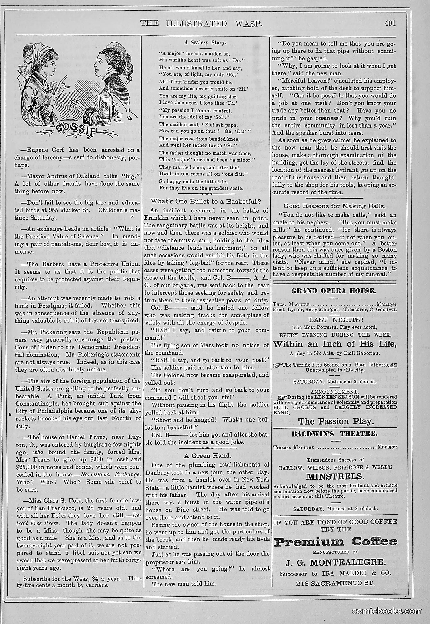 The Wasp — 1879 — page 144 of 486