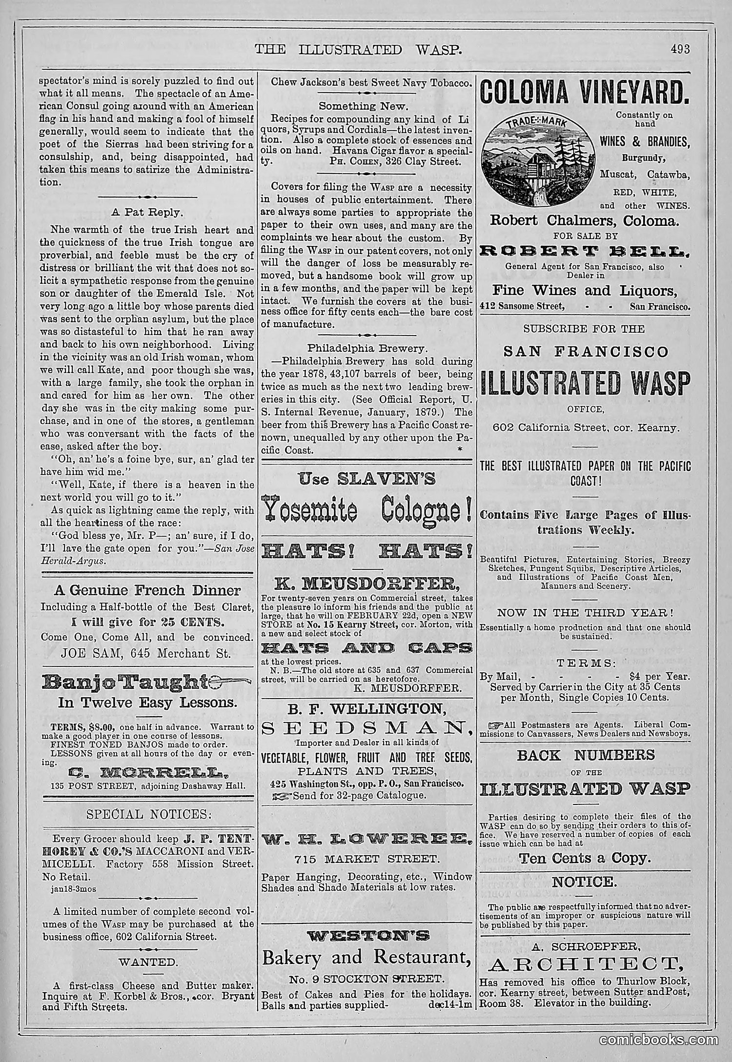 The Wasp — 1879 — page 146 of 486