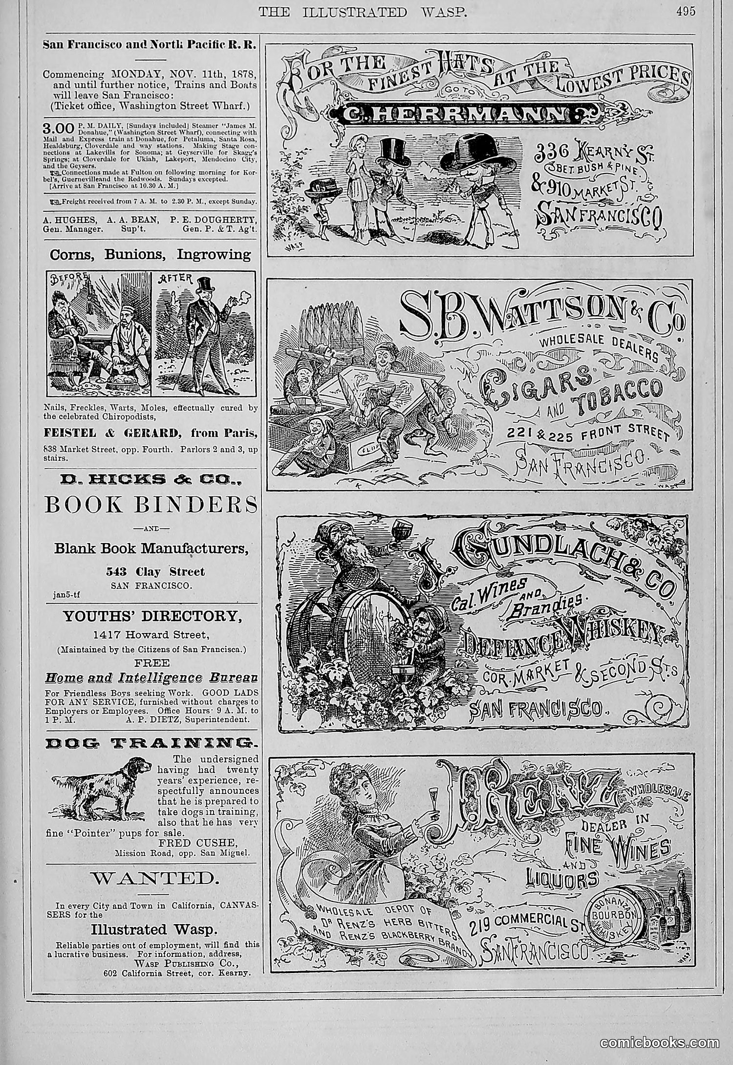 The Wasp — 1879 — page 148 of 486