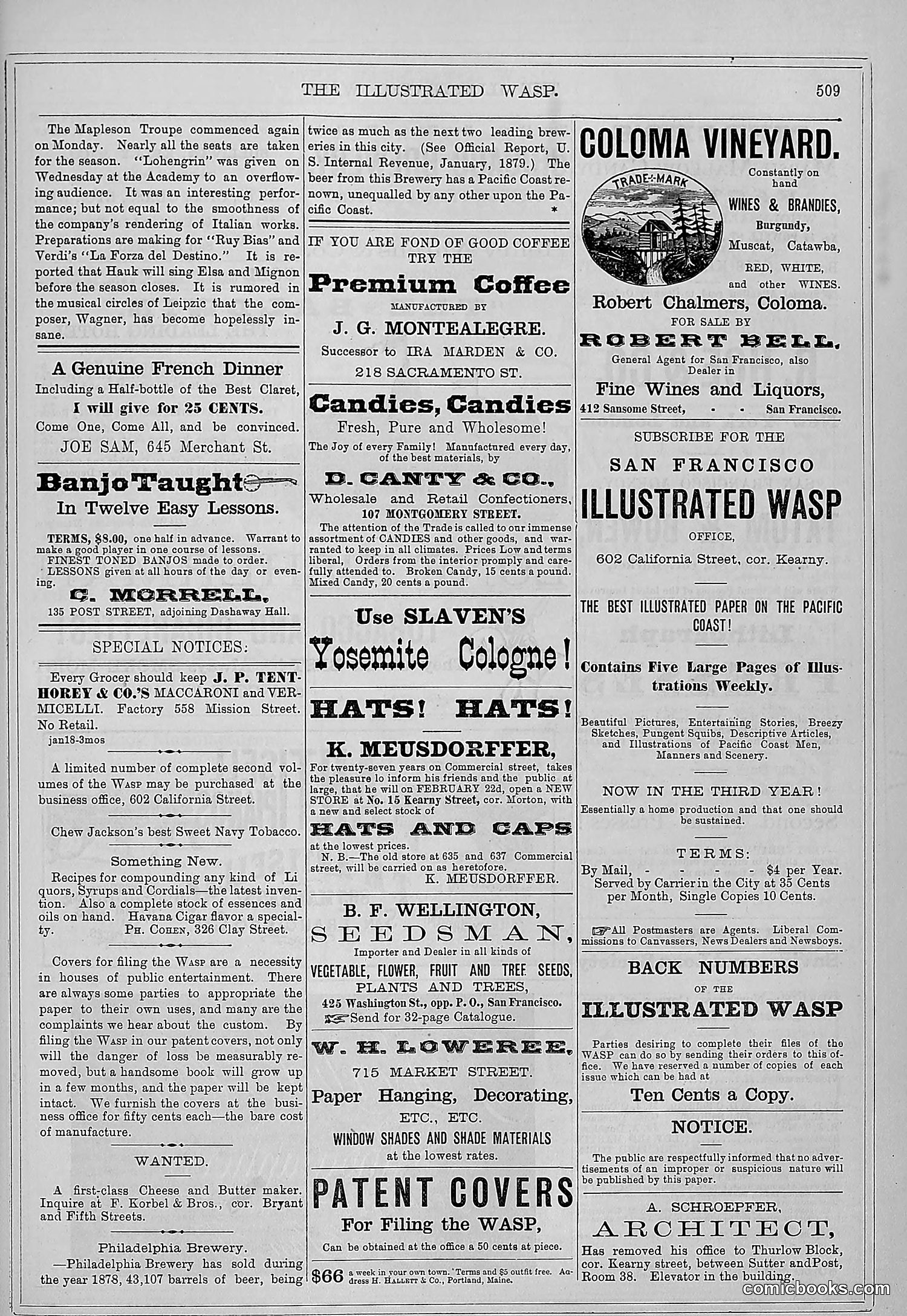 The Wasp — 1879 — page 162 of 486