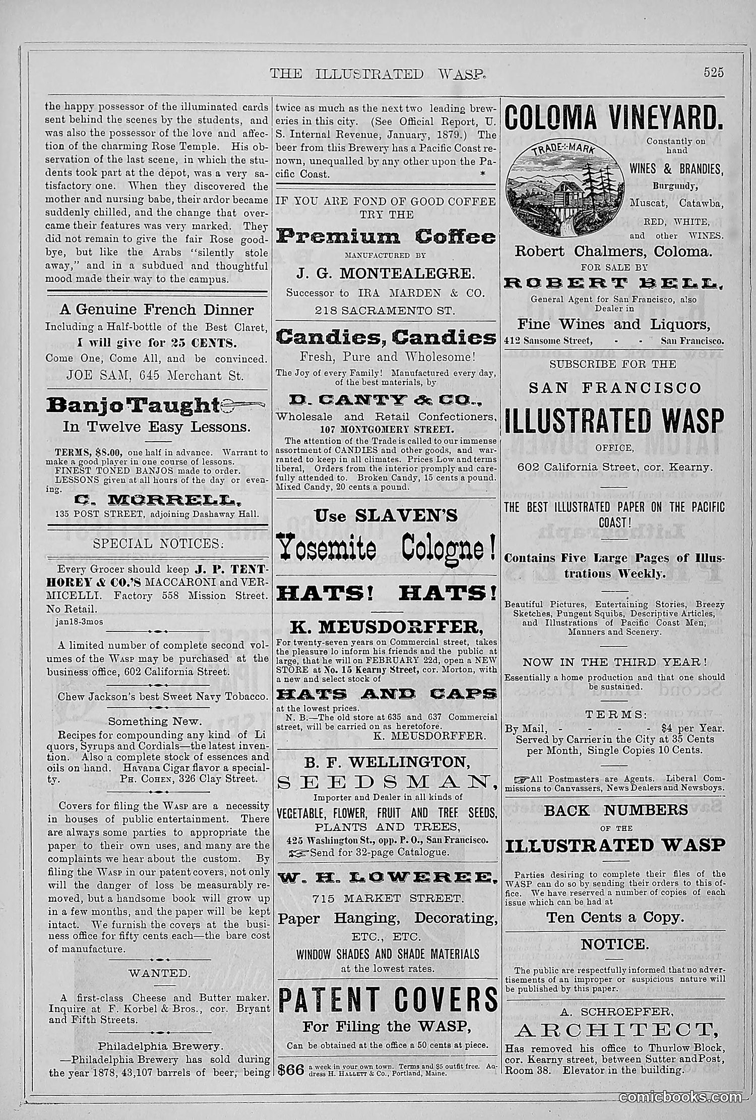 The Wasp — 1879 — page 176 of 486