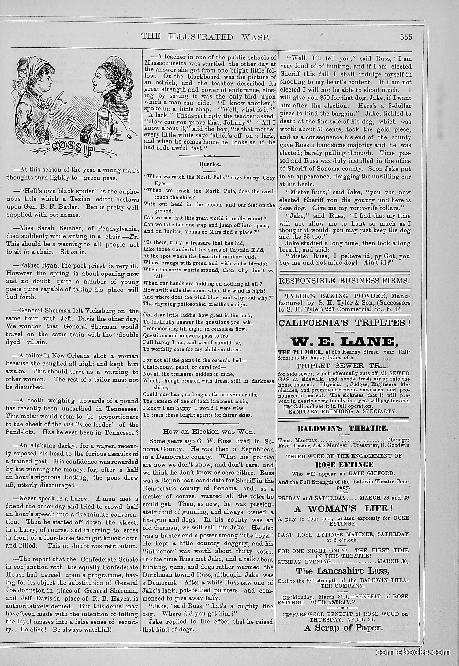The Wasp — 1879 — page 206 of 486