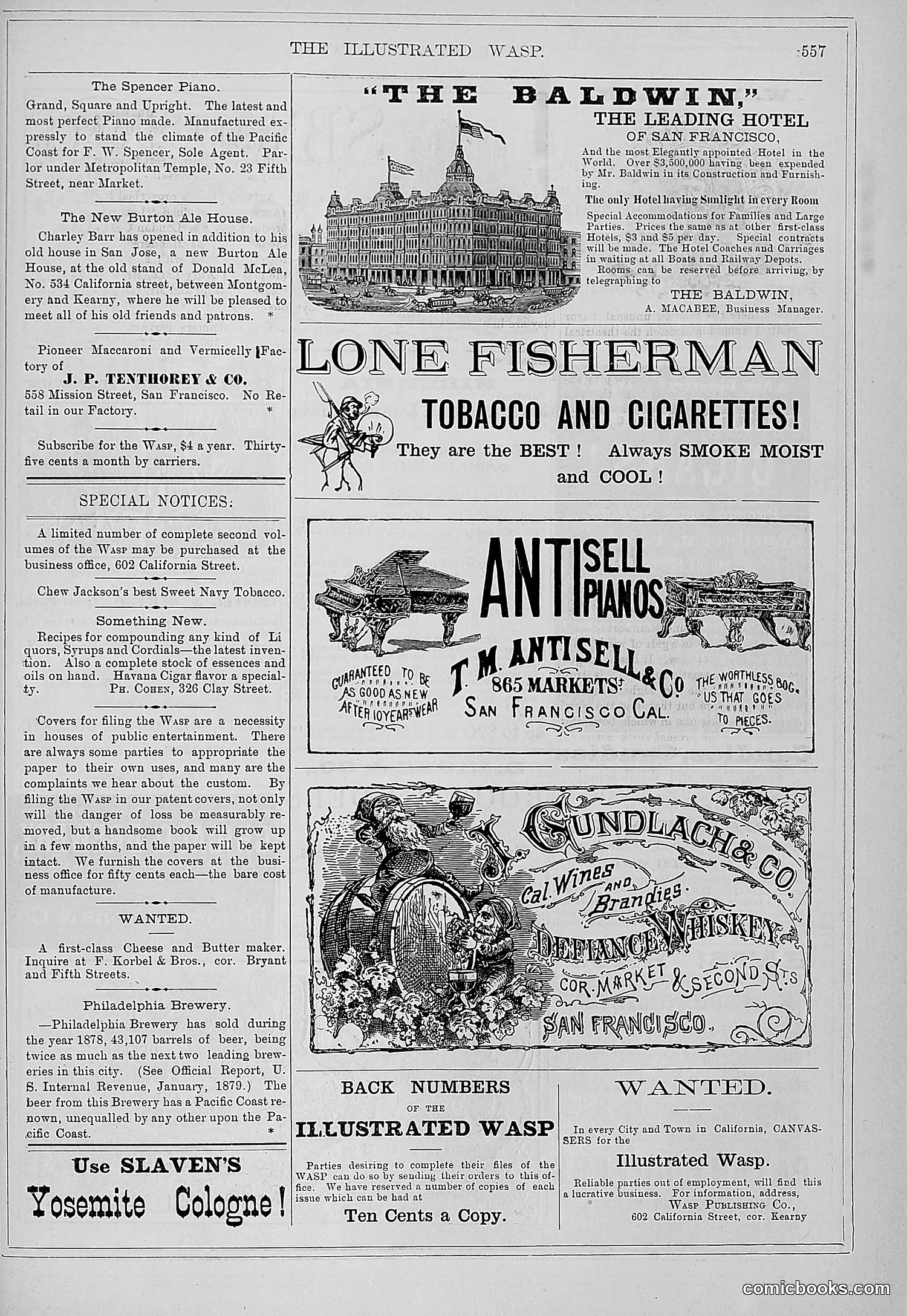 The Wasp — 1879 — page 208 of 486