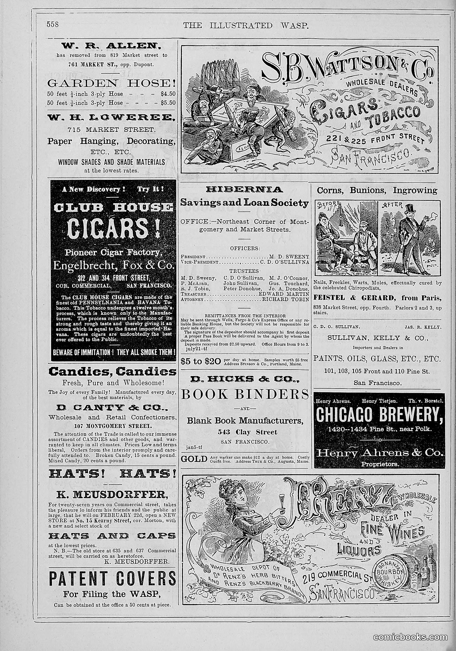 The Wasp — 1879 — page 209 of 486