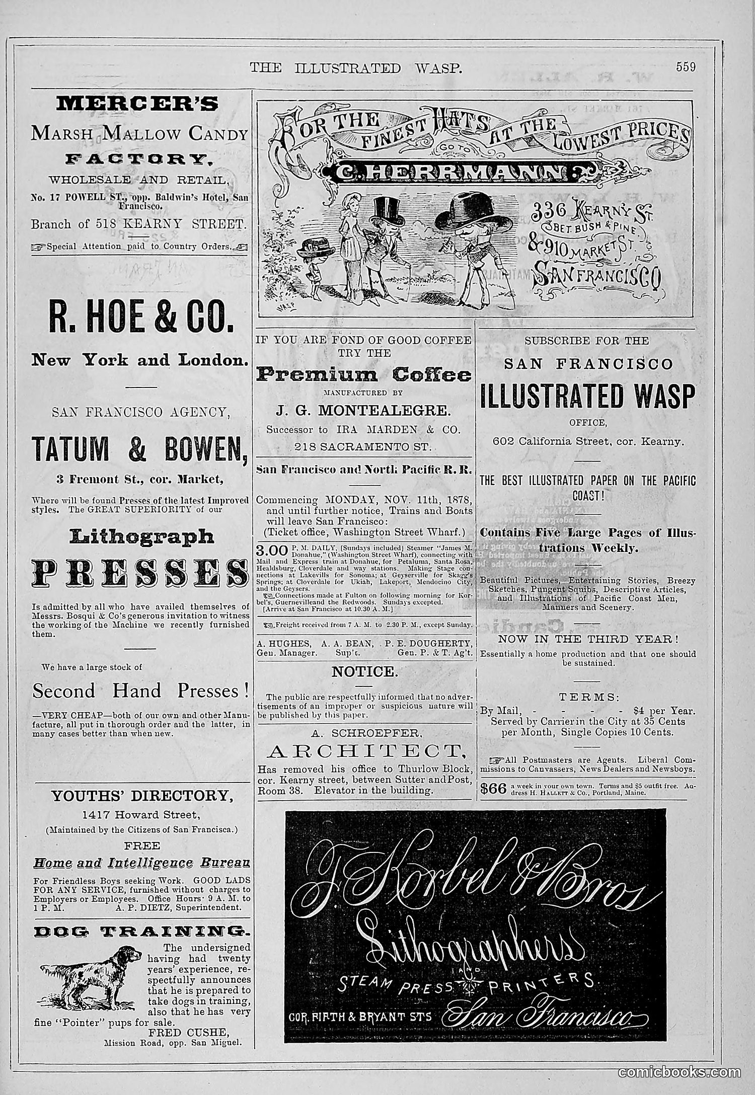The Wasp — 1879 — page 210 of 486