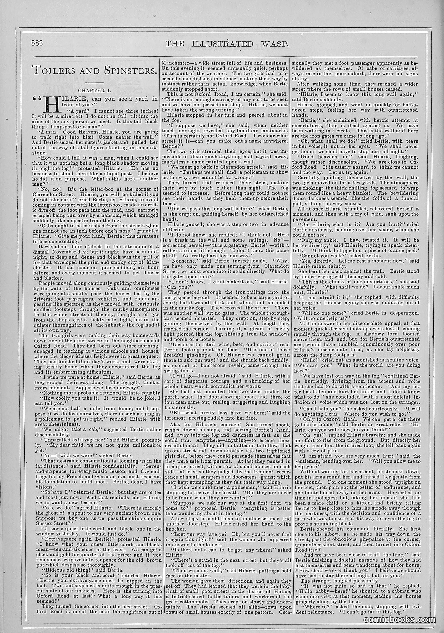 The Wasp — 1879 — page 233 of 486