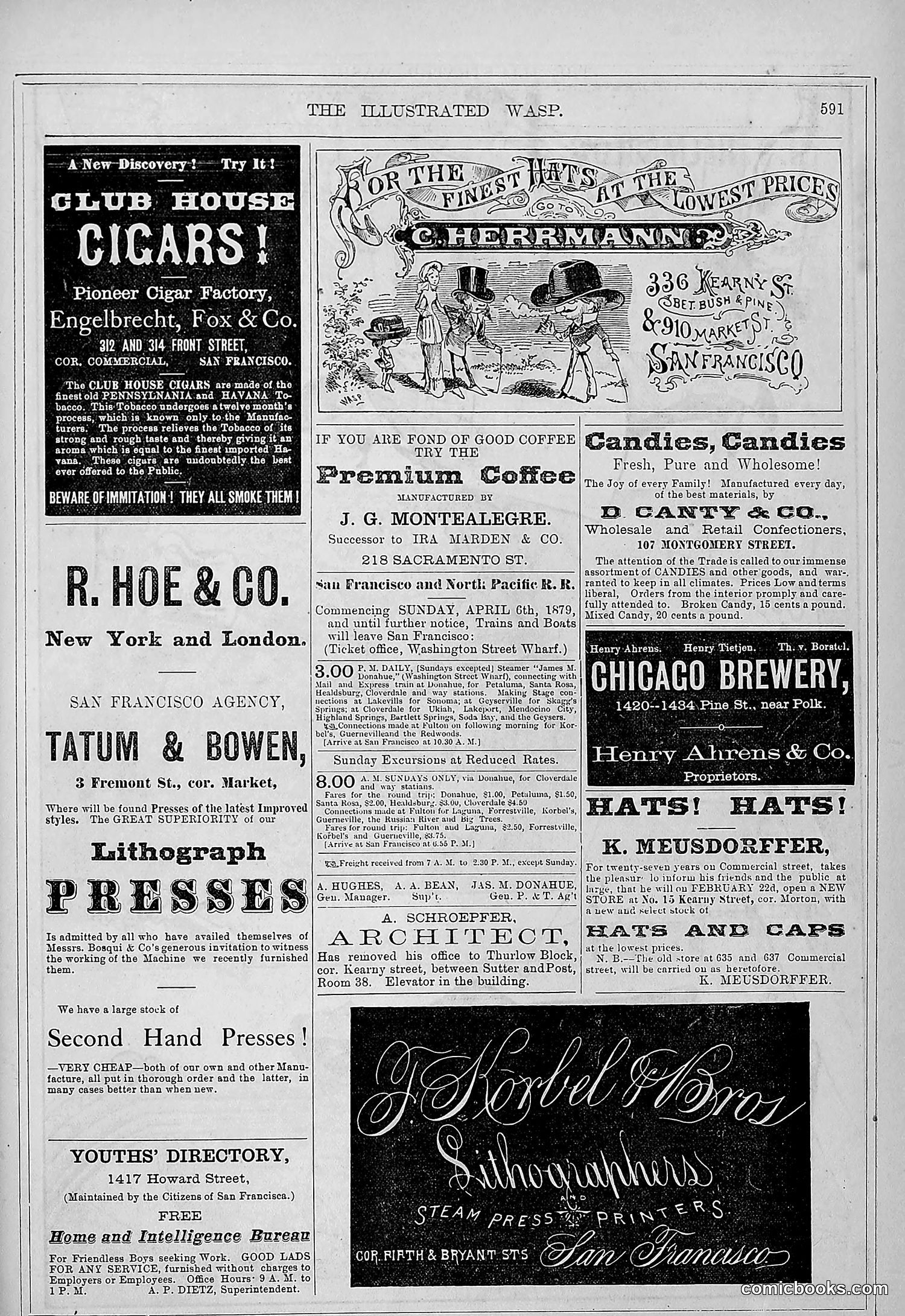 The Wasp — 1879 — page 242 of 486