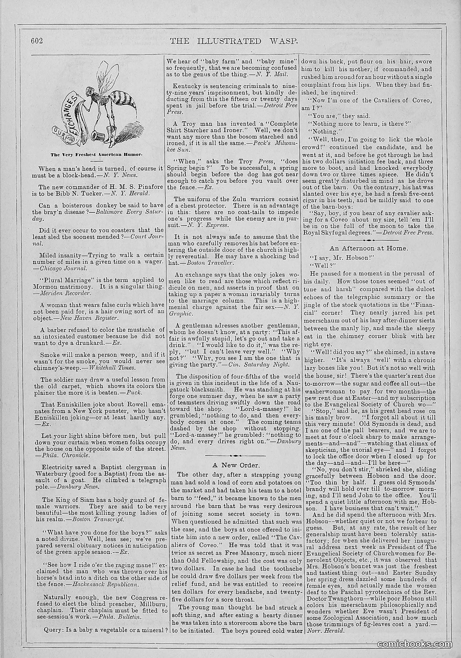 The Wasp — 1879 — page 253 of 486