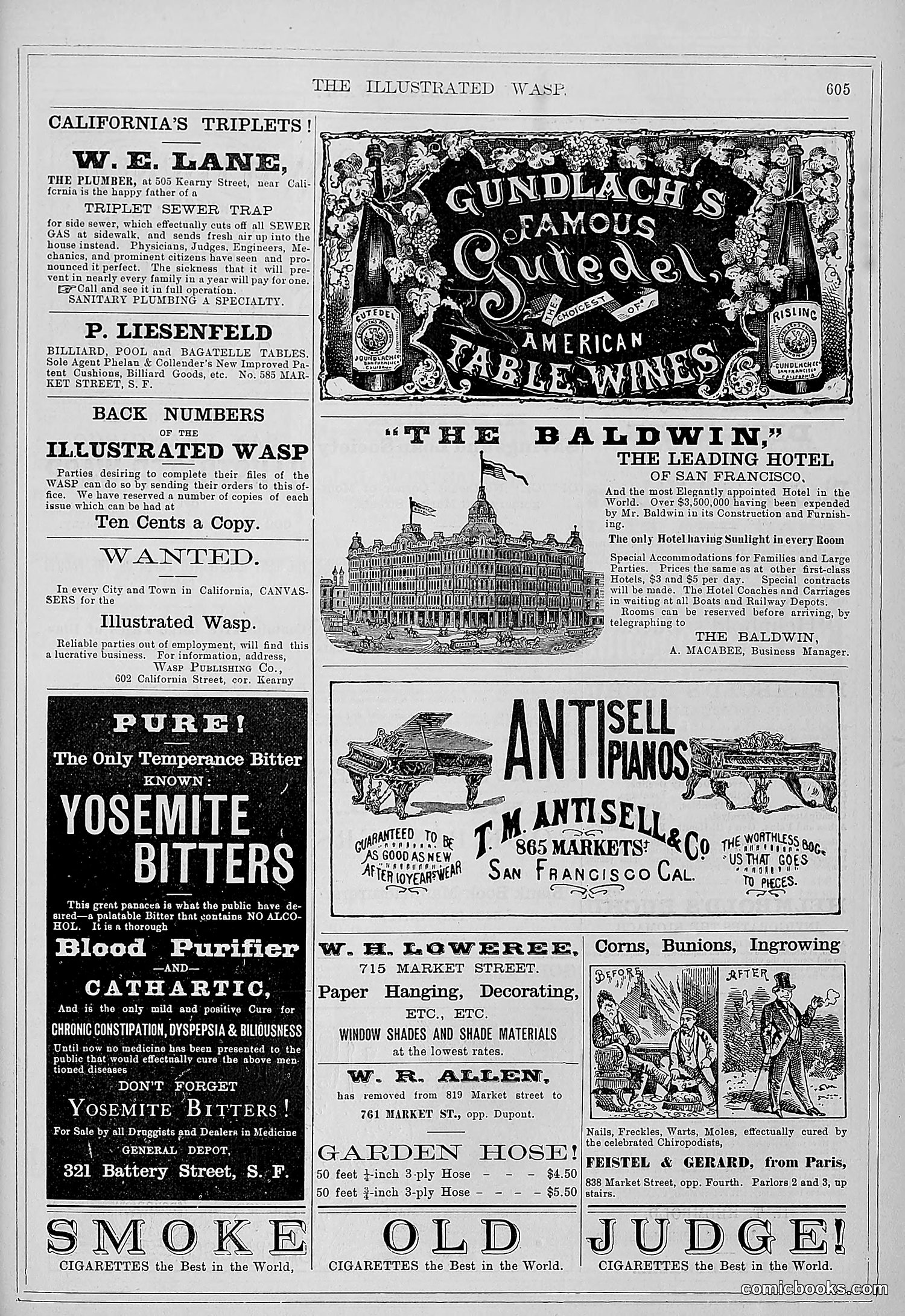 The Wasp — 1879 — page 256 of 486