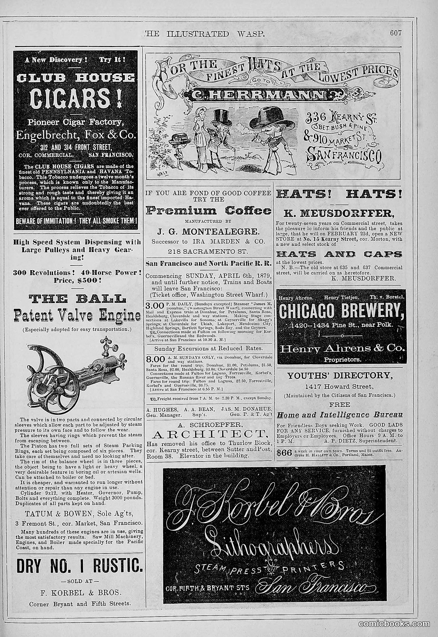 The Wasp — 1879 — page 258 of 486