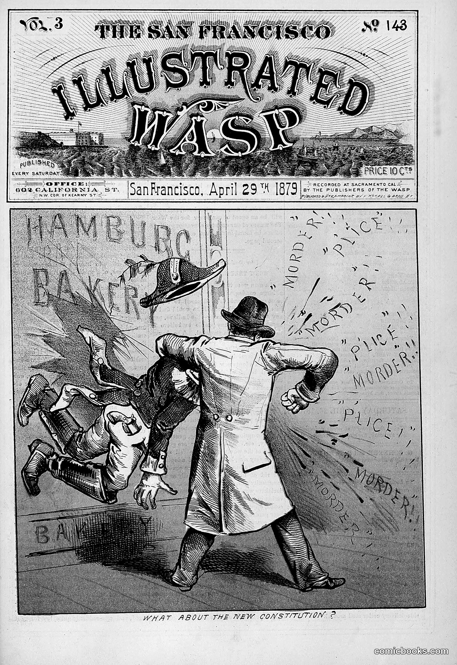 The Wasp — 1879 — page 260 of 486