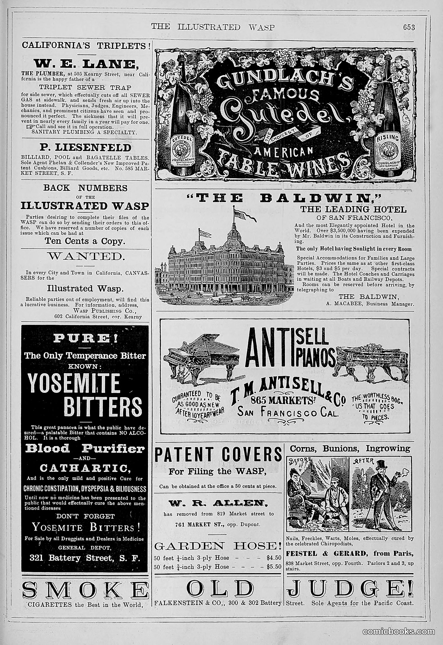The Wasp — 1879 — page 304 of 486