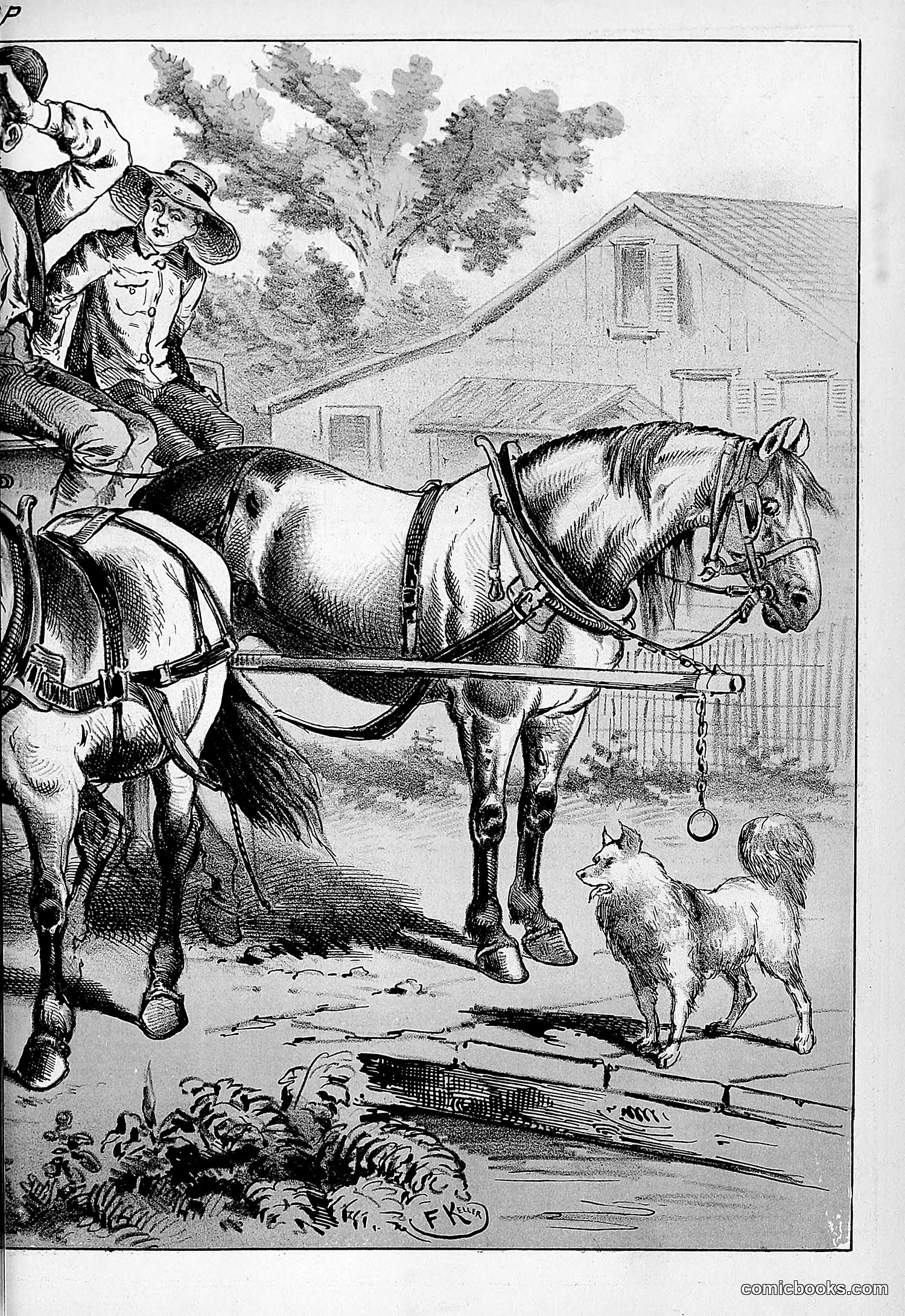 The Wasp — 1879 — page 316 of 486