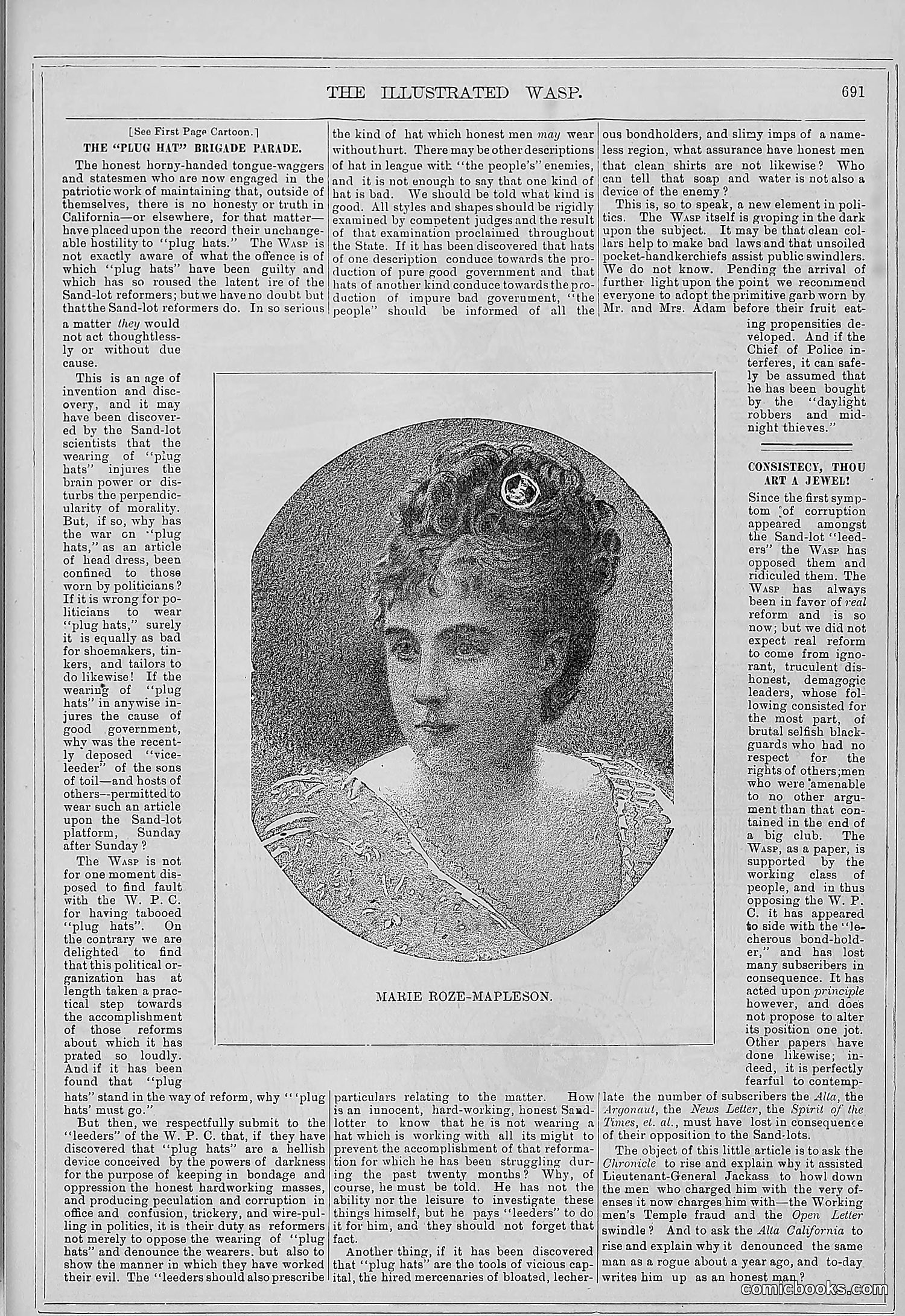 The Wasp — 1879 — page 346 of 486