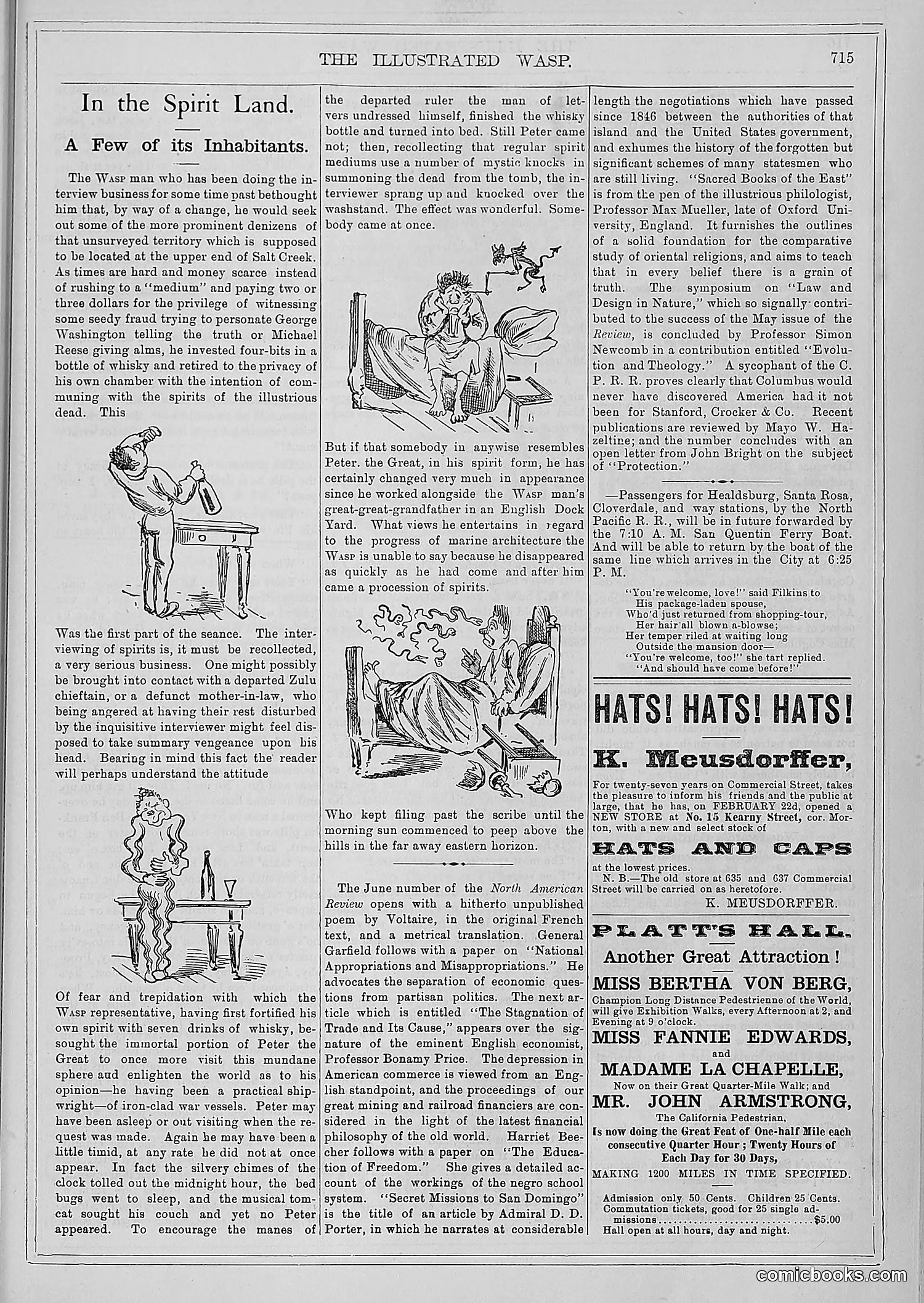 The Wasp — 1879 — page 370 of 486