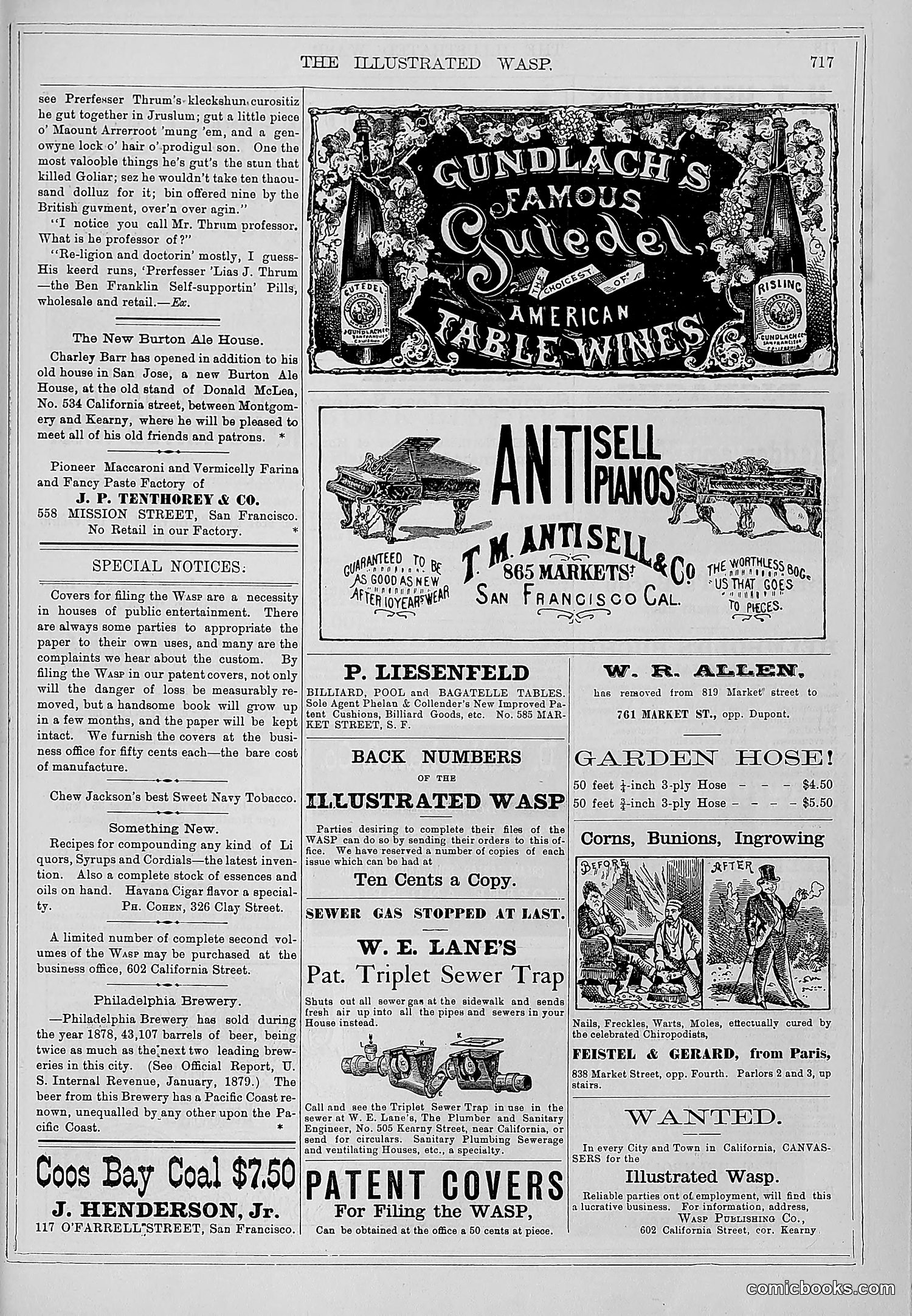 The Wasp — 1879 — page 372 of 486