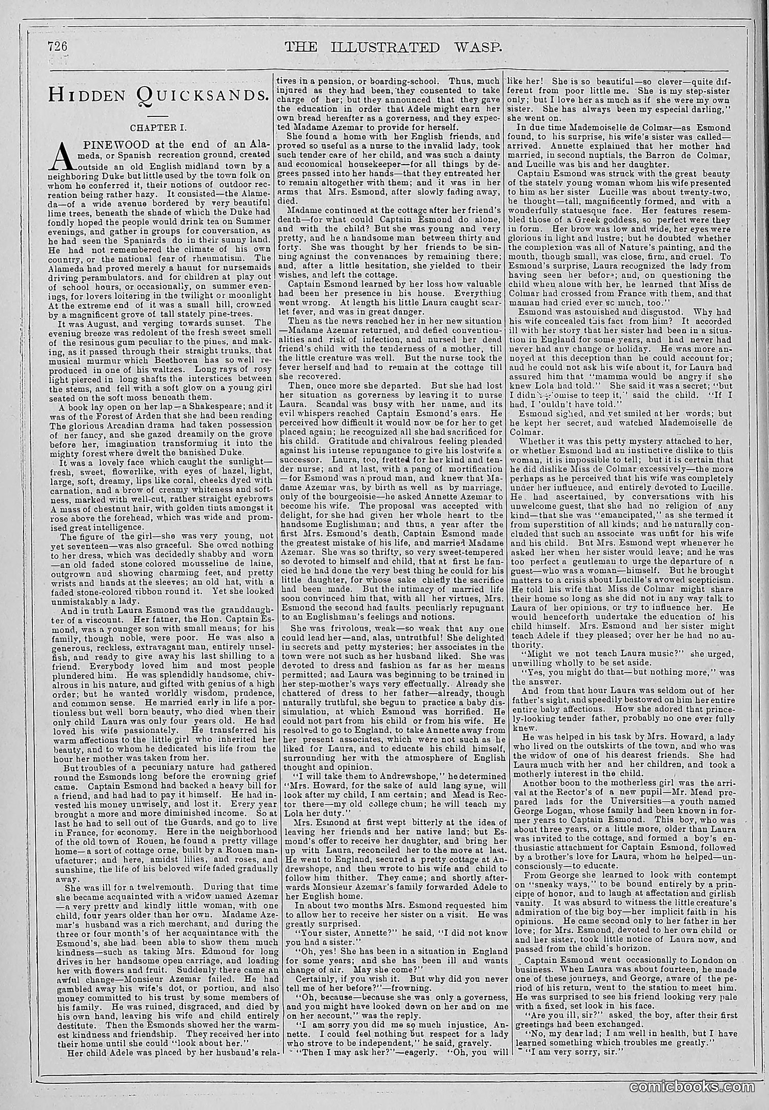 The Wasp — 1879 — page 381 of 486
