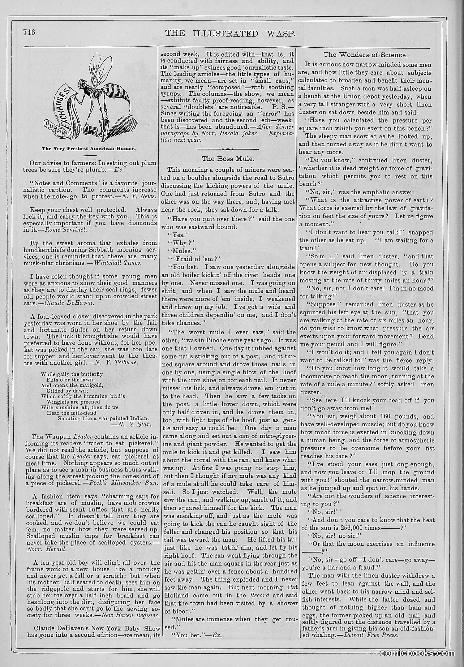 The Wasp — 1879 — page 401 of 486