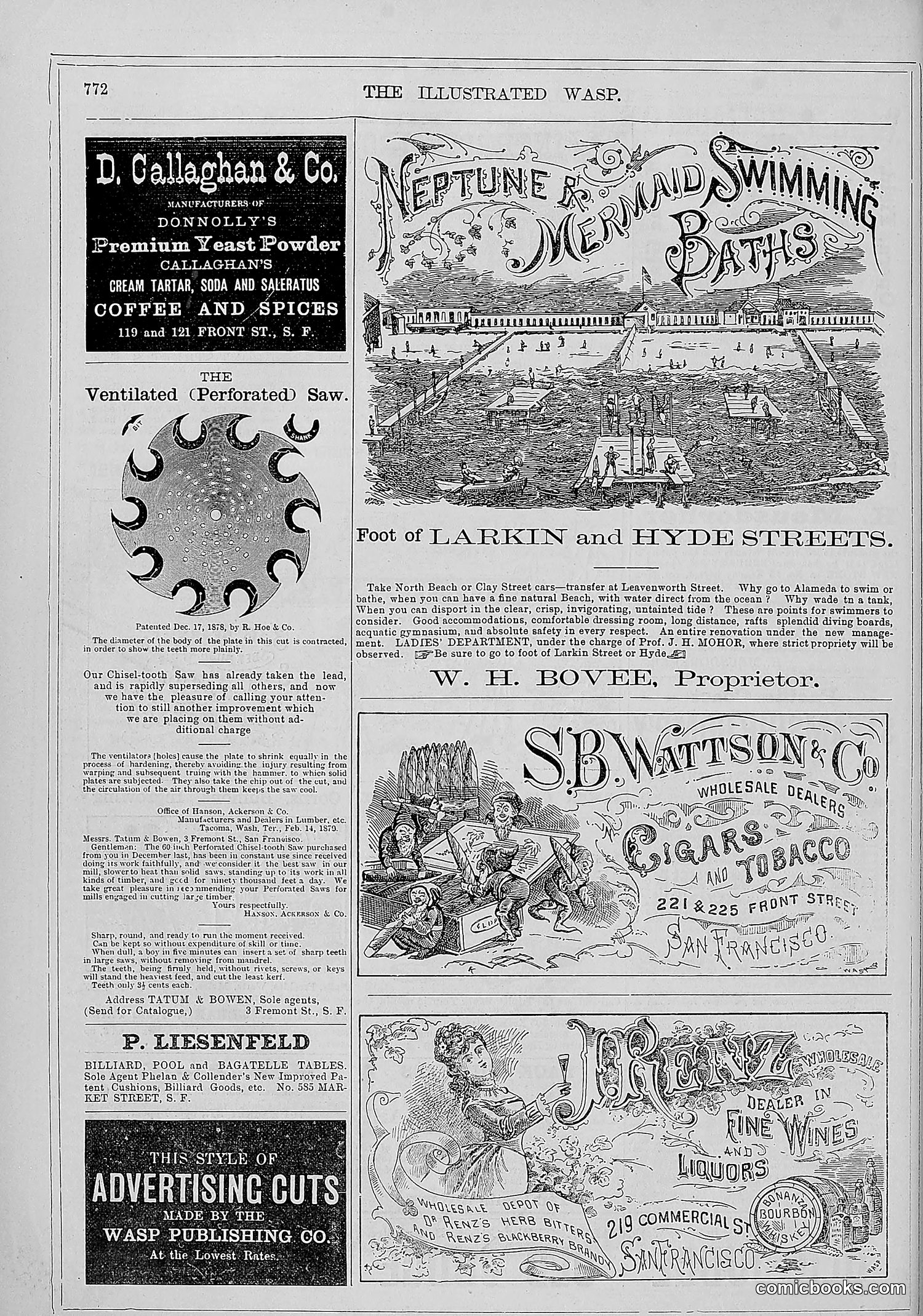 The Wasp — 1879 — page 421 of 486