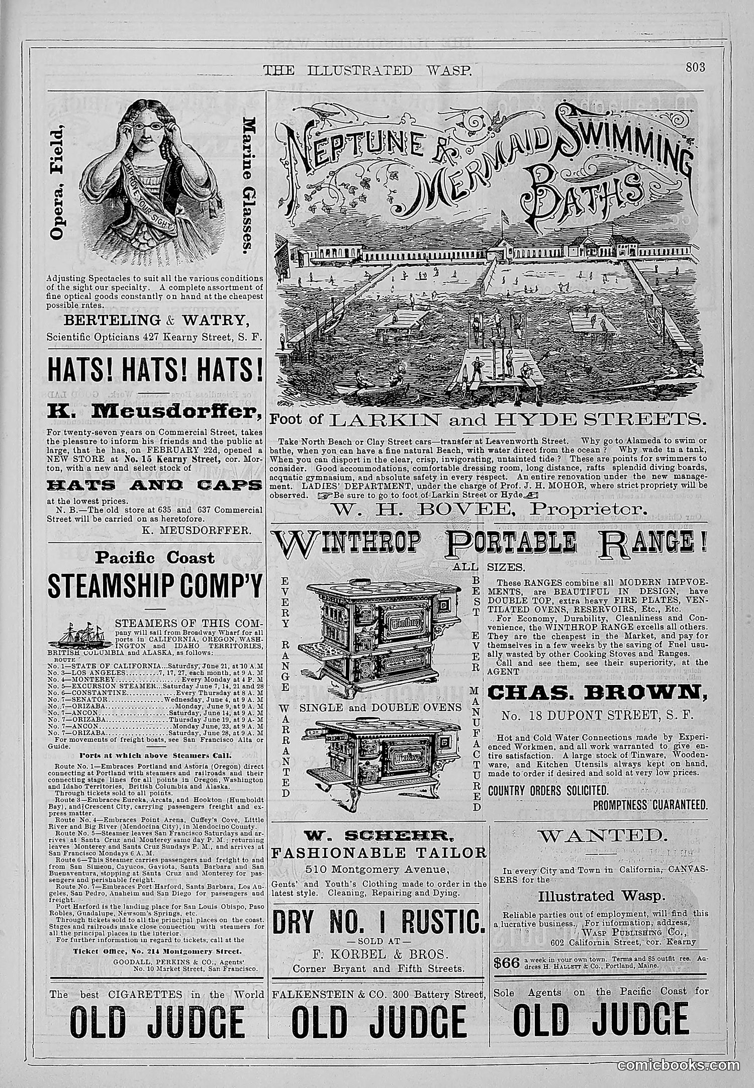 The Wasp — 1879 — page 452 of 486