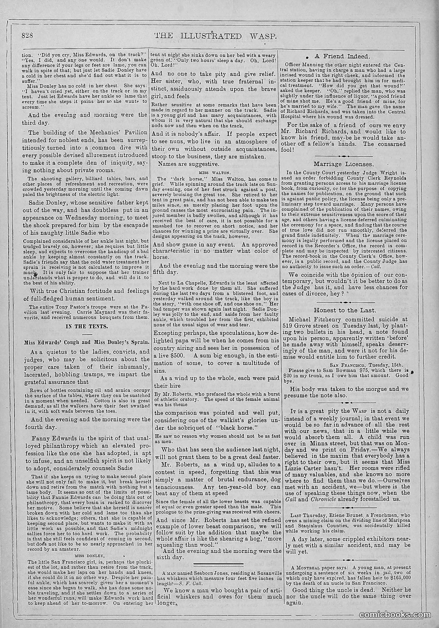The Wasp — 1879 — page 473 of 486