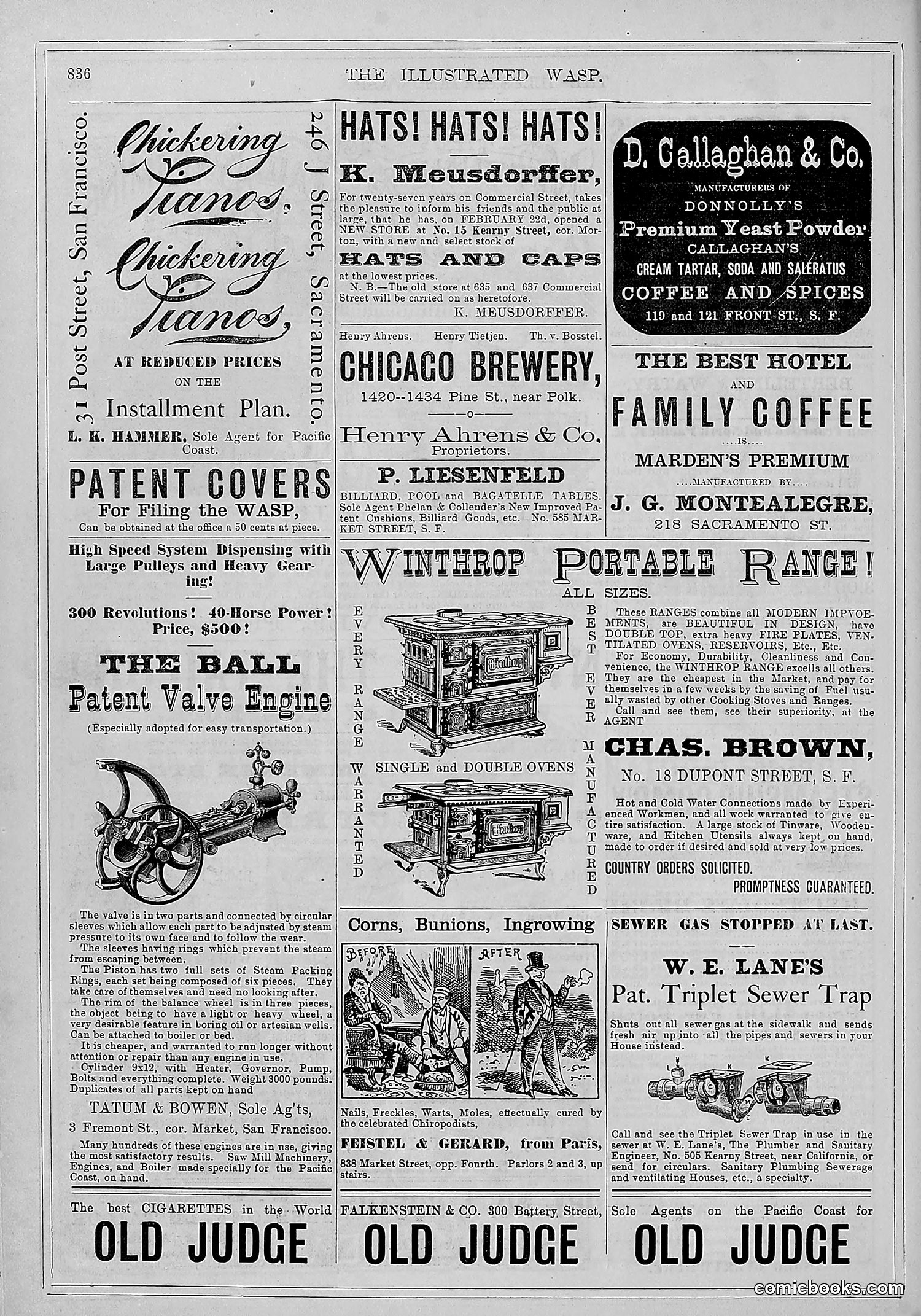 The Wasp — 1879 — page 481 of 486