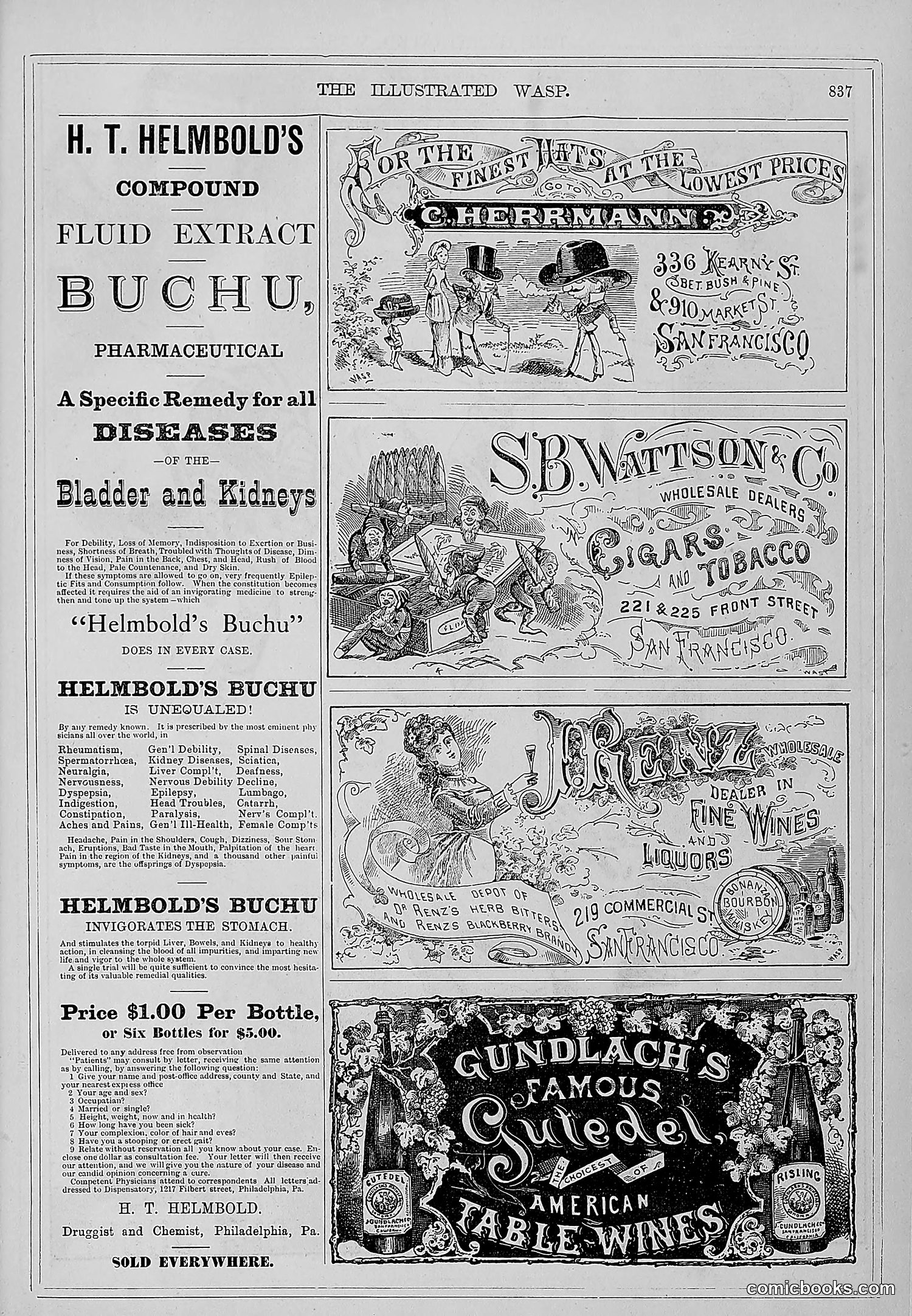 The Wasp — 1879 — page 482 of 486