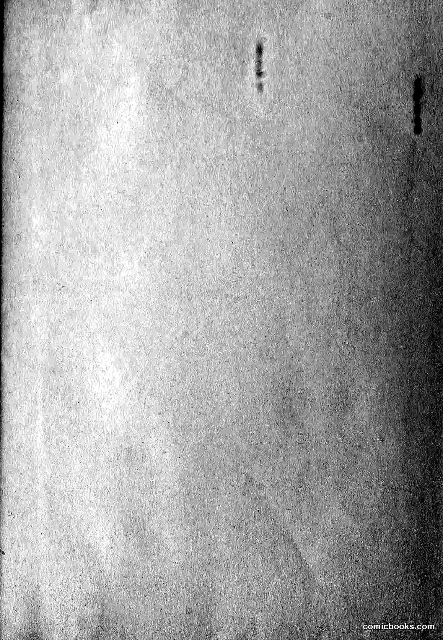 The Wasp — 1879 — page 486 of 486