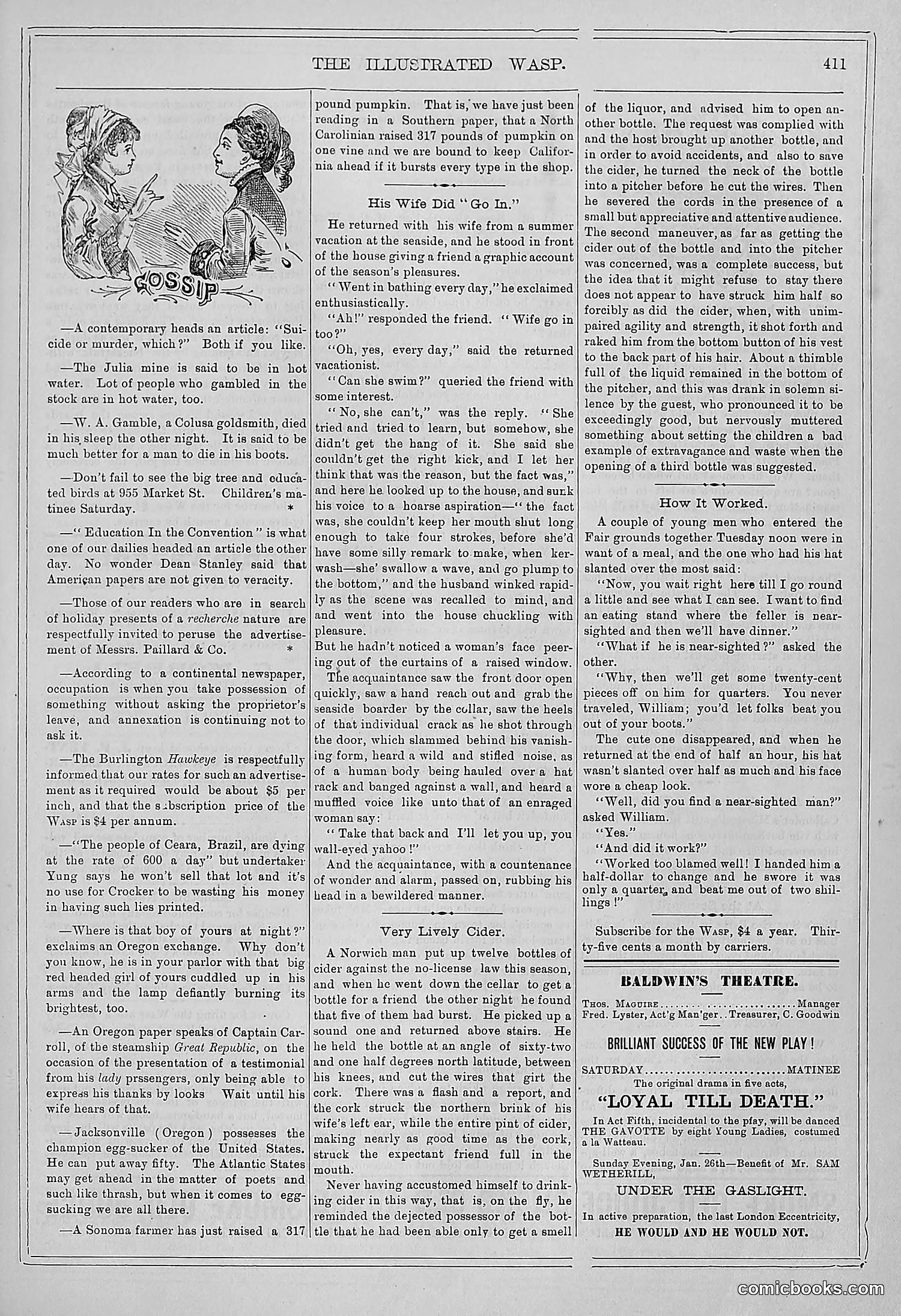 The Wasp — 1879 — page 66 of 486