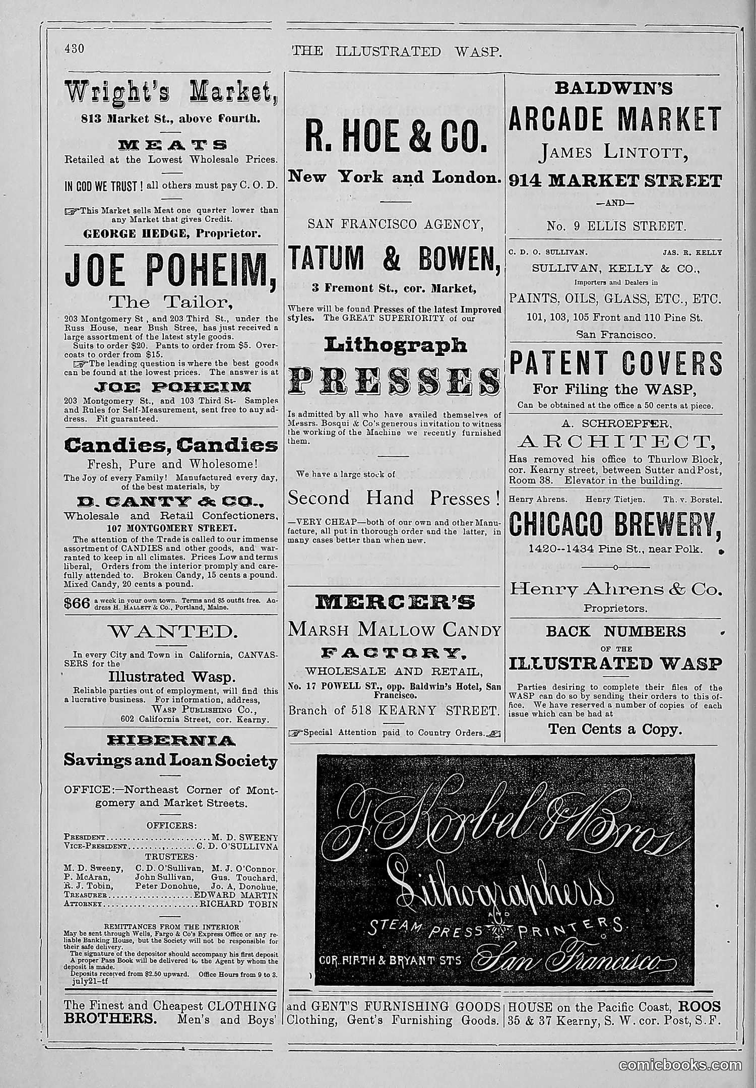 The Wasp — 1879 — page 85 of 486
