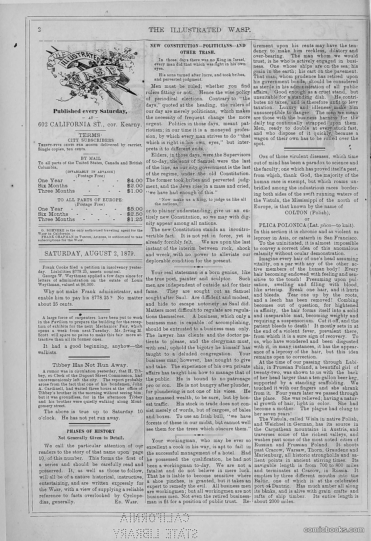 The Wasp — 1879 — page 11 of 846