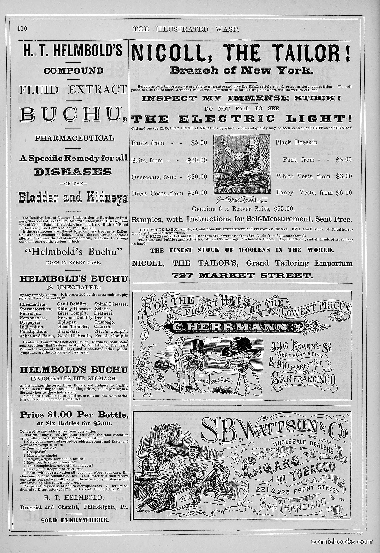 The Wasp — 1879 — page 103 of 846