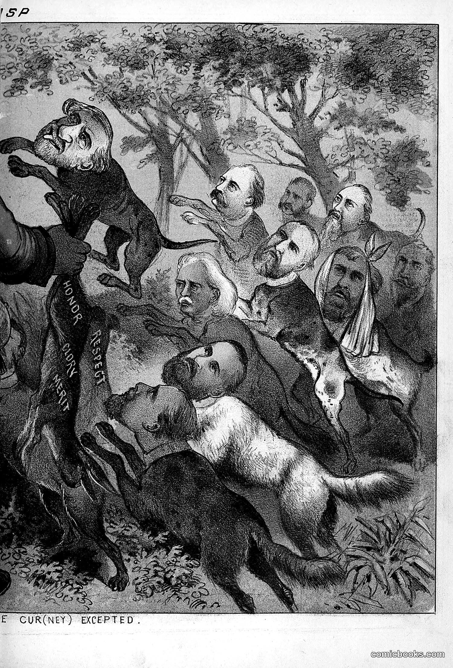 The Wasp — 1879 — page 146 of 846