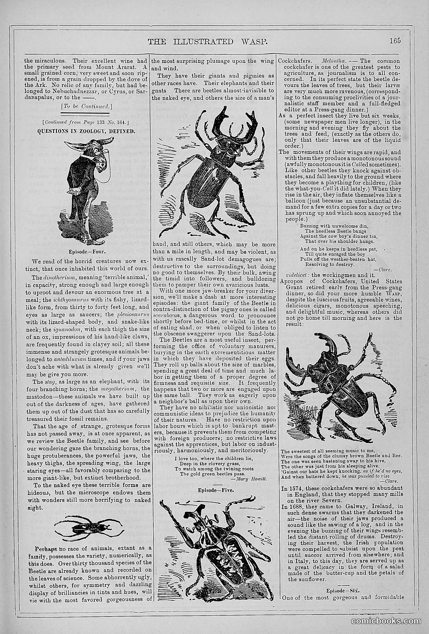 The Wasp — 1879 — page 158 of 846