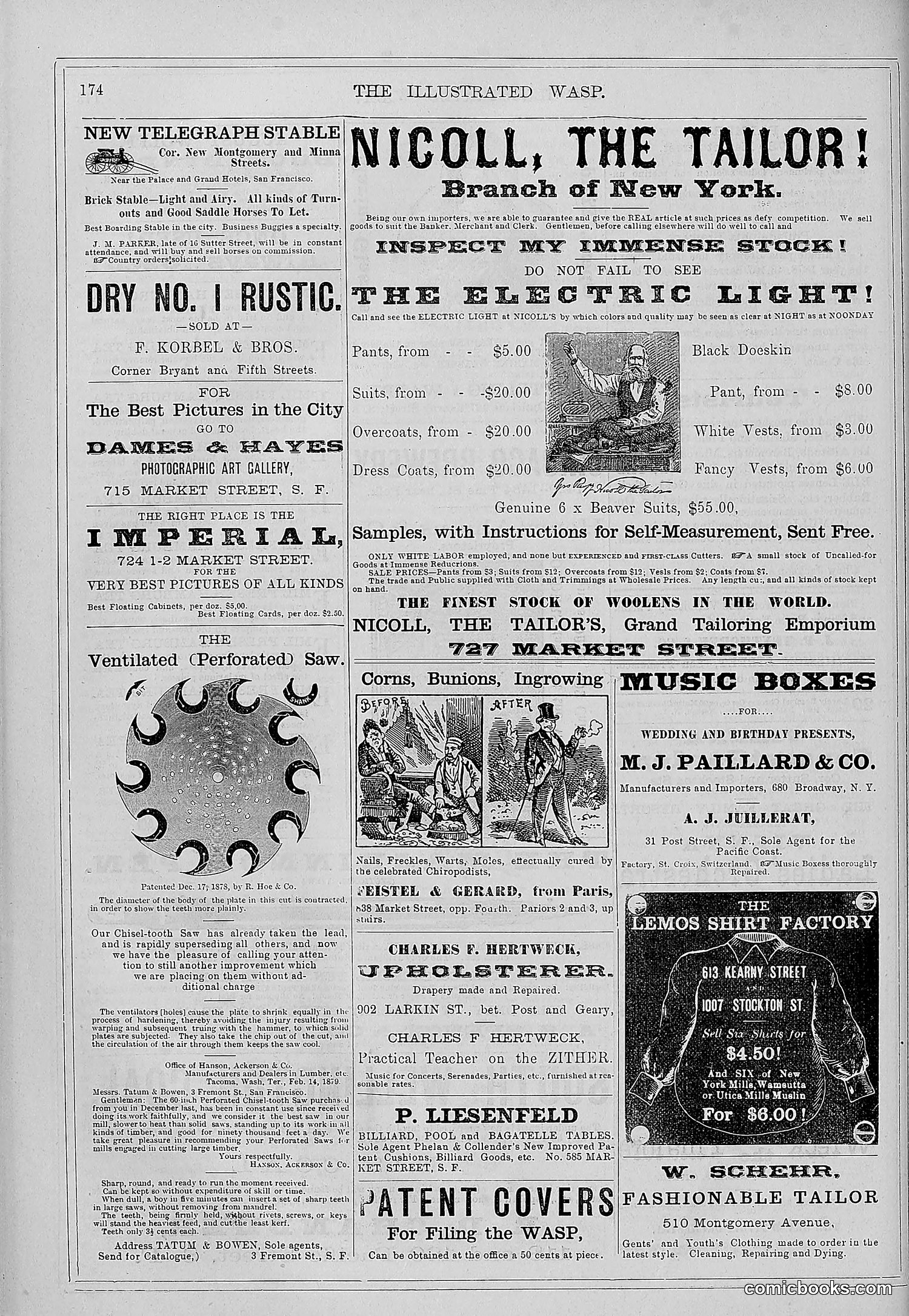 The Wasp — 1879 — page 167 of 846