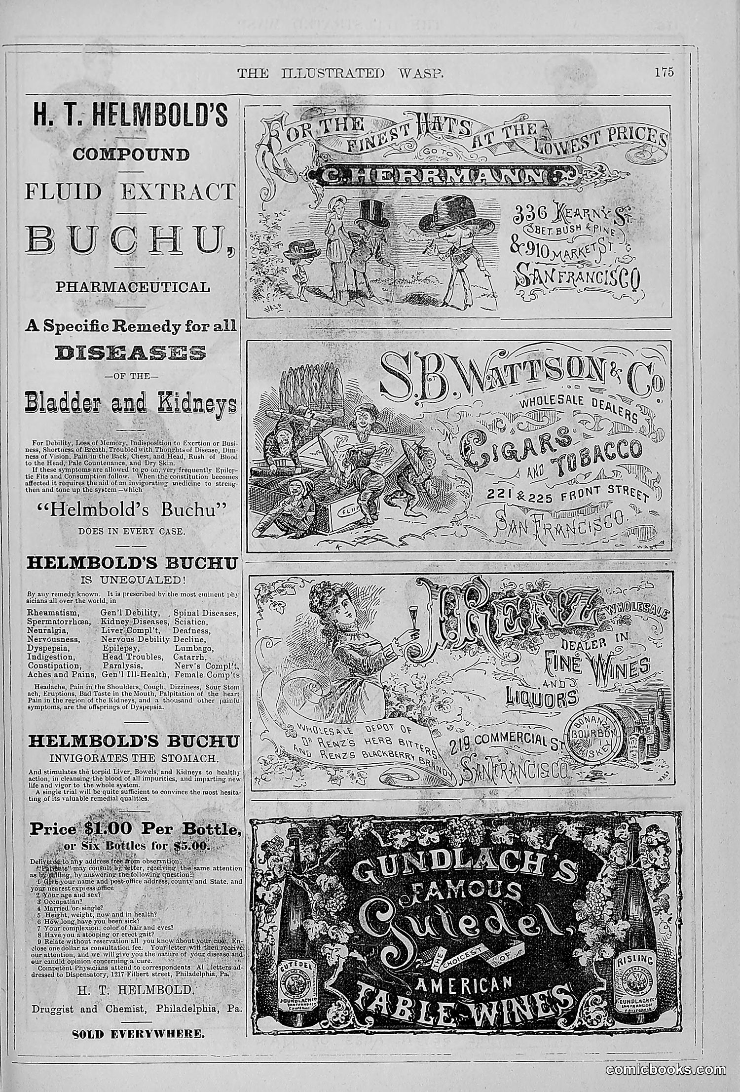The Wasp — 1879 — page 168 of 846