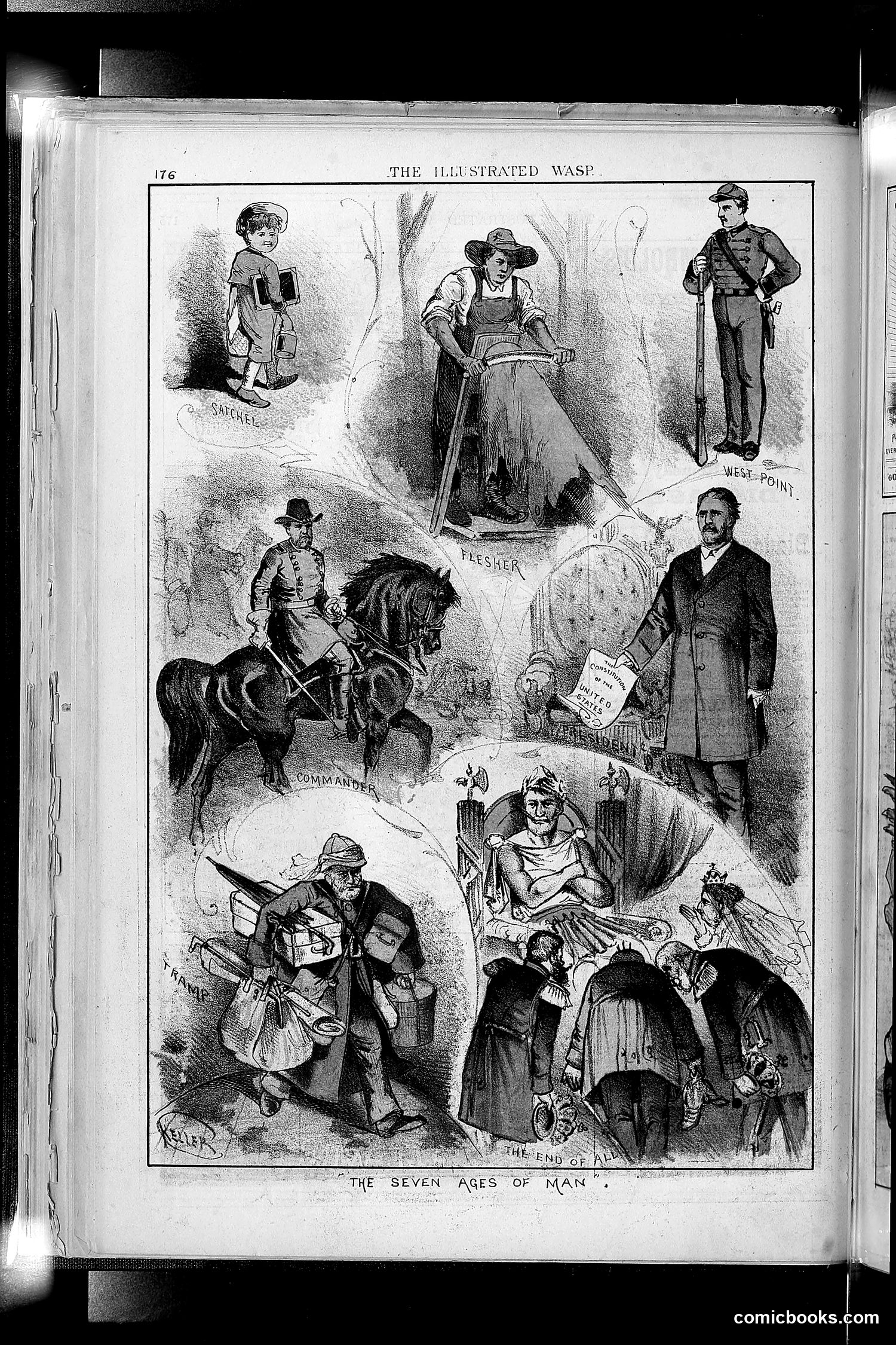 The Wasp — 1879 — page 169 of 846