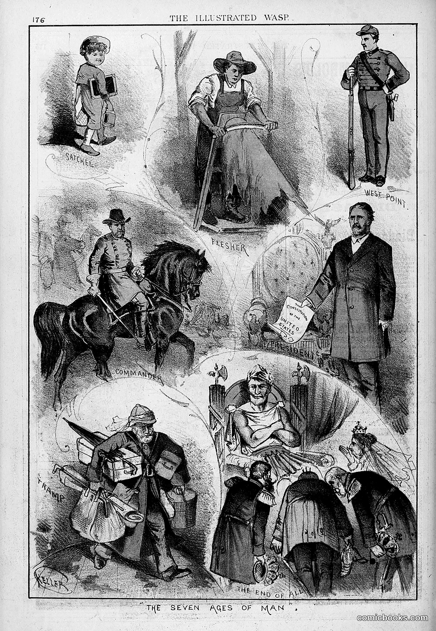 The Wasp — 1879 — page 171 of 846