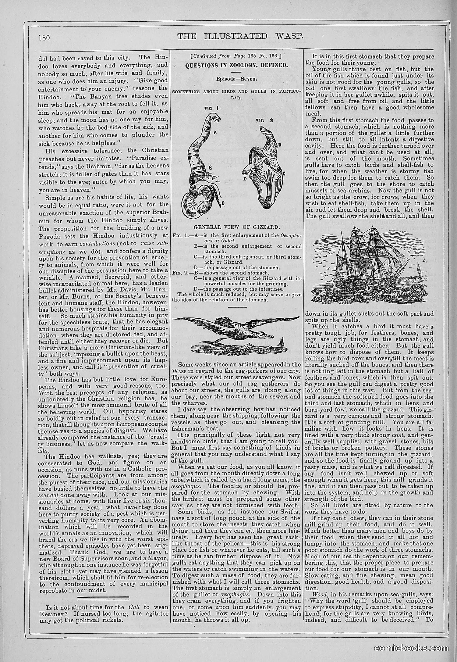 The Wasp — 1879 — page 175 of 846