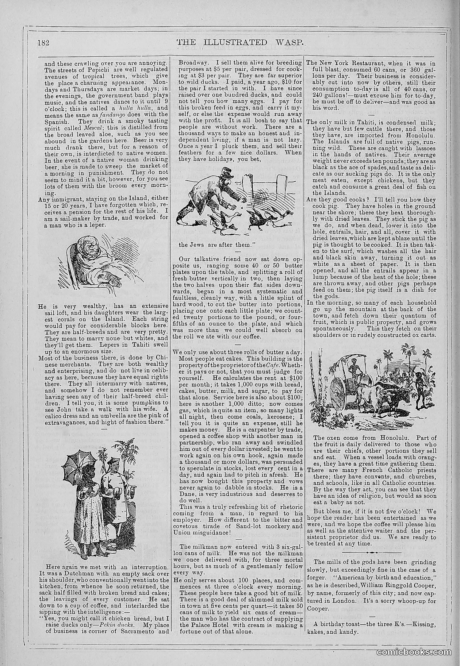 The Wasp — 1879 — page 177 of 846